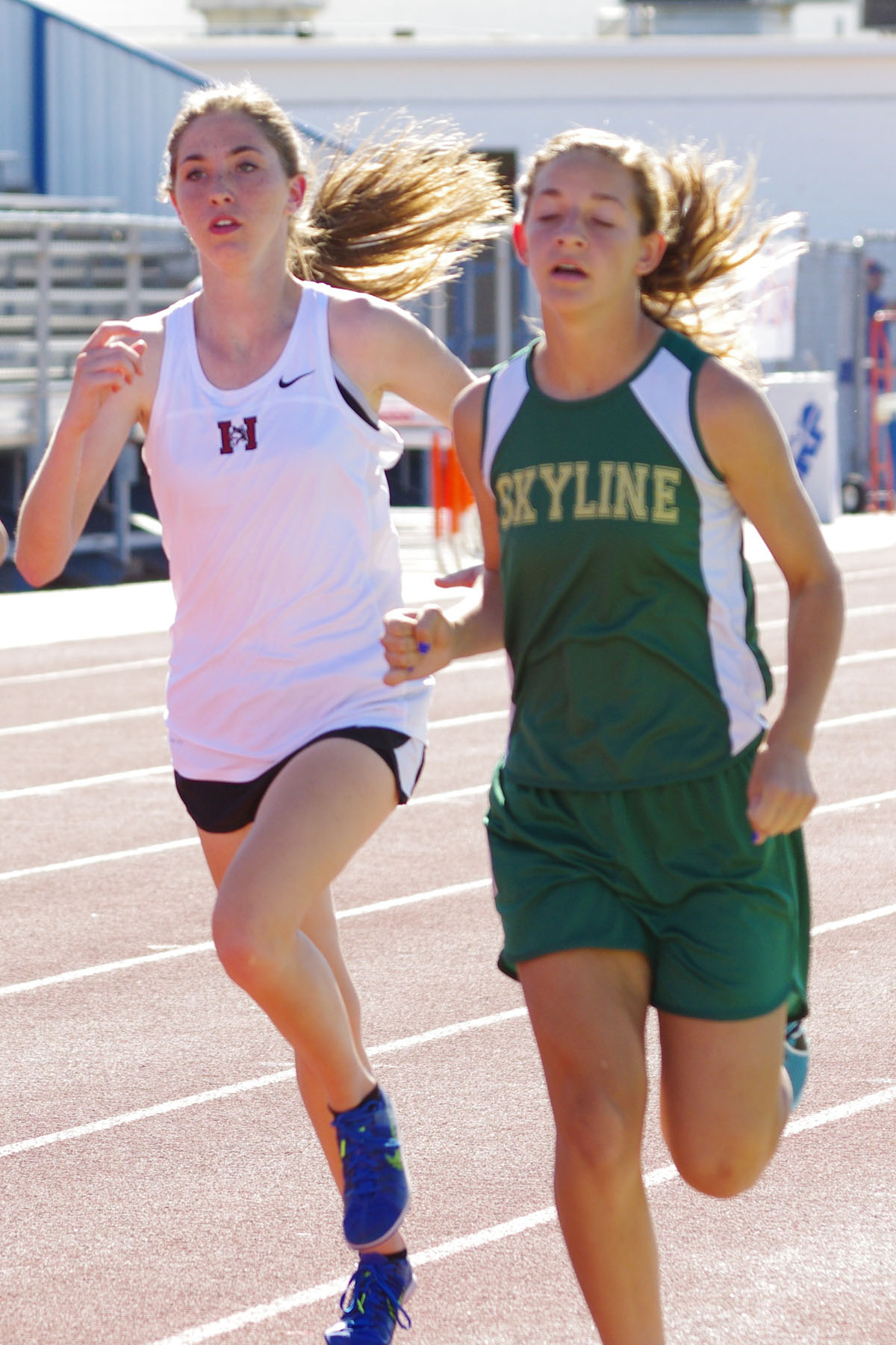 IMGP6318_C.jpg