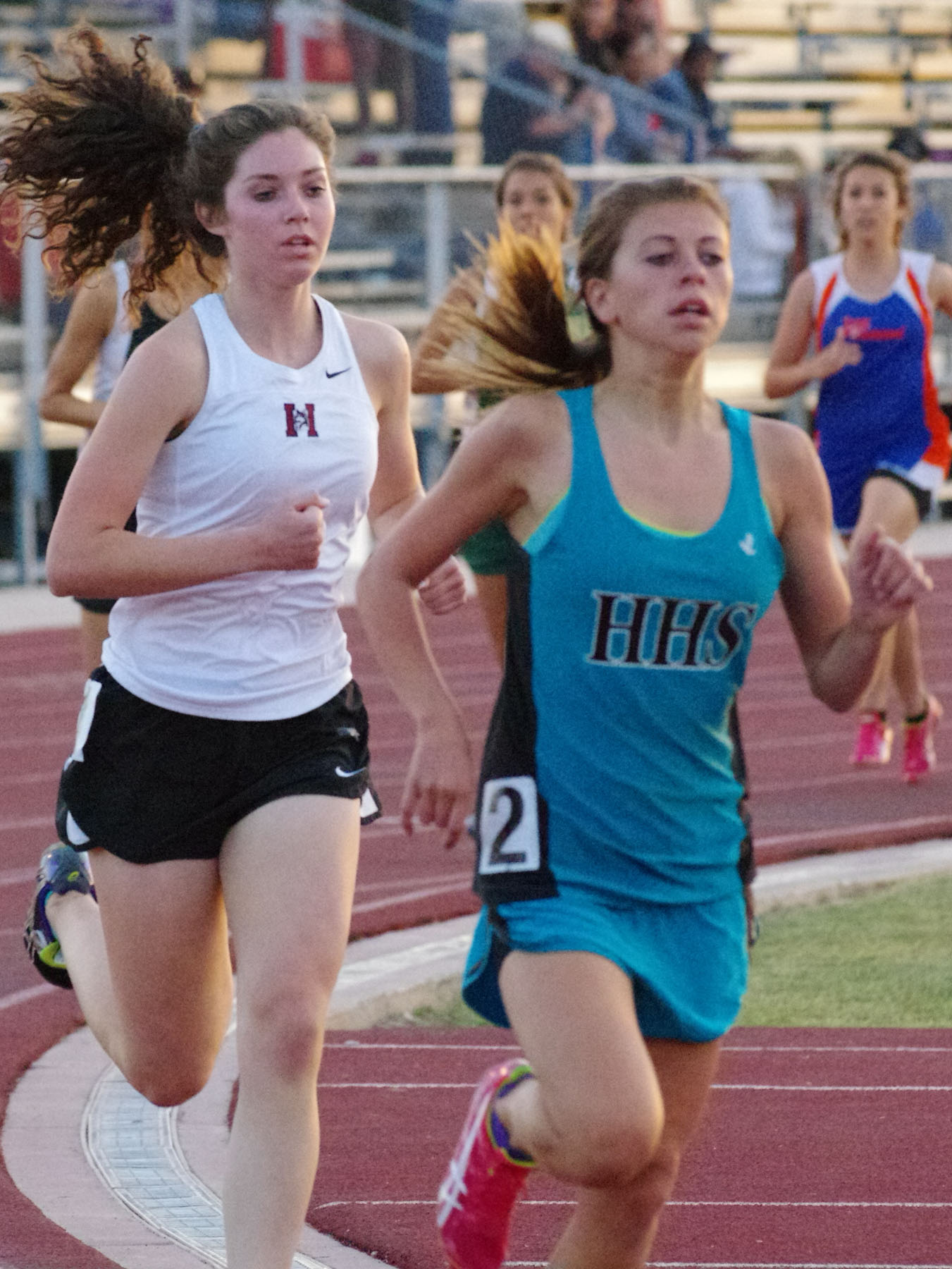 IMGP6708_C.jpg