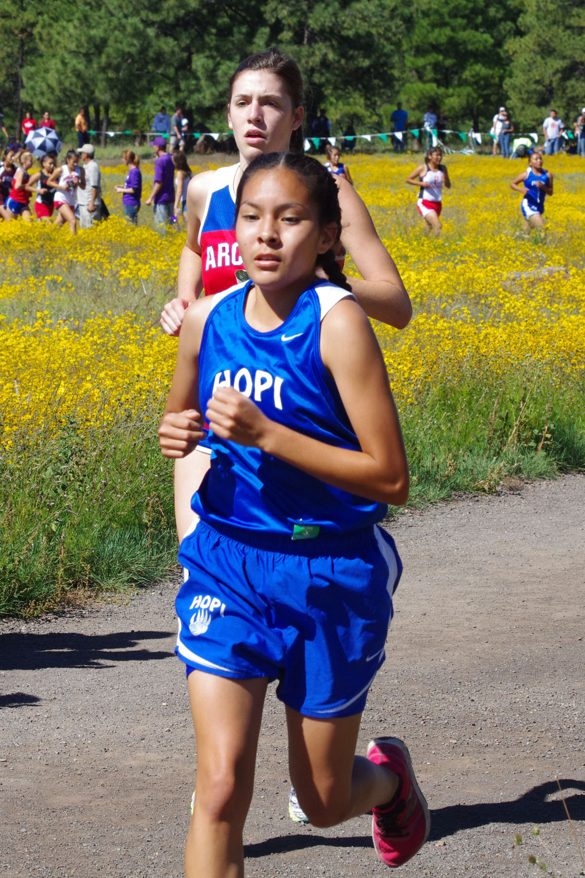 IMGP2908_C.jpg