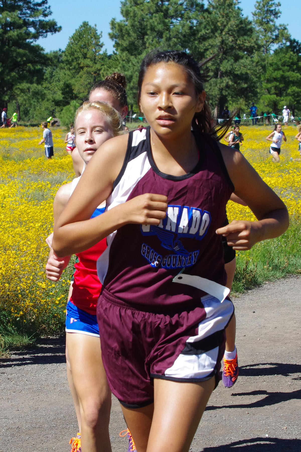 IMGP2917_C.jpg