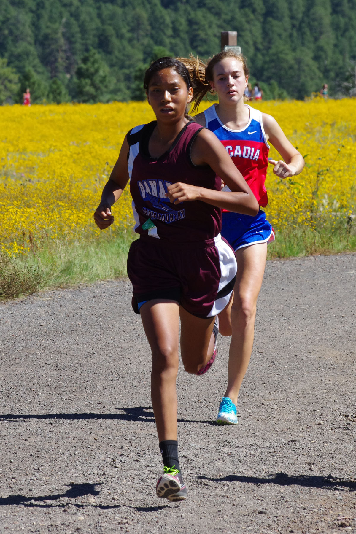 IMGP2941_C.jpg