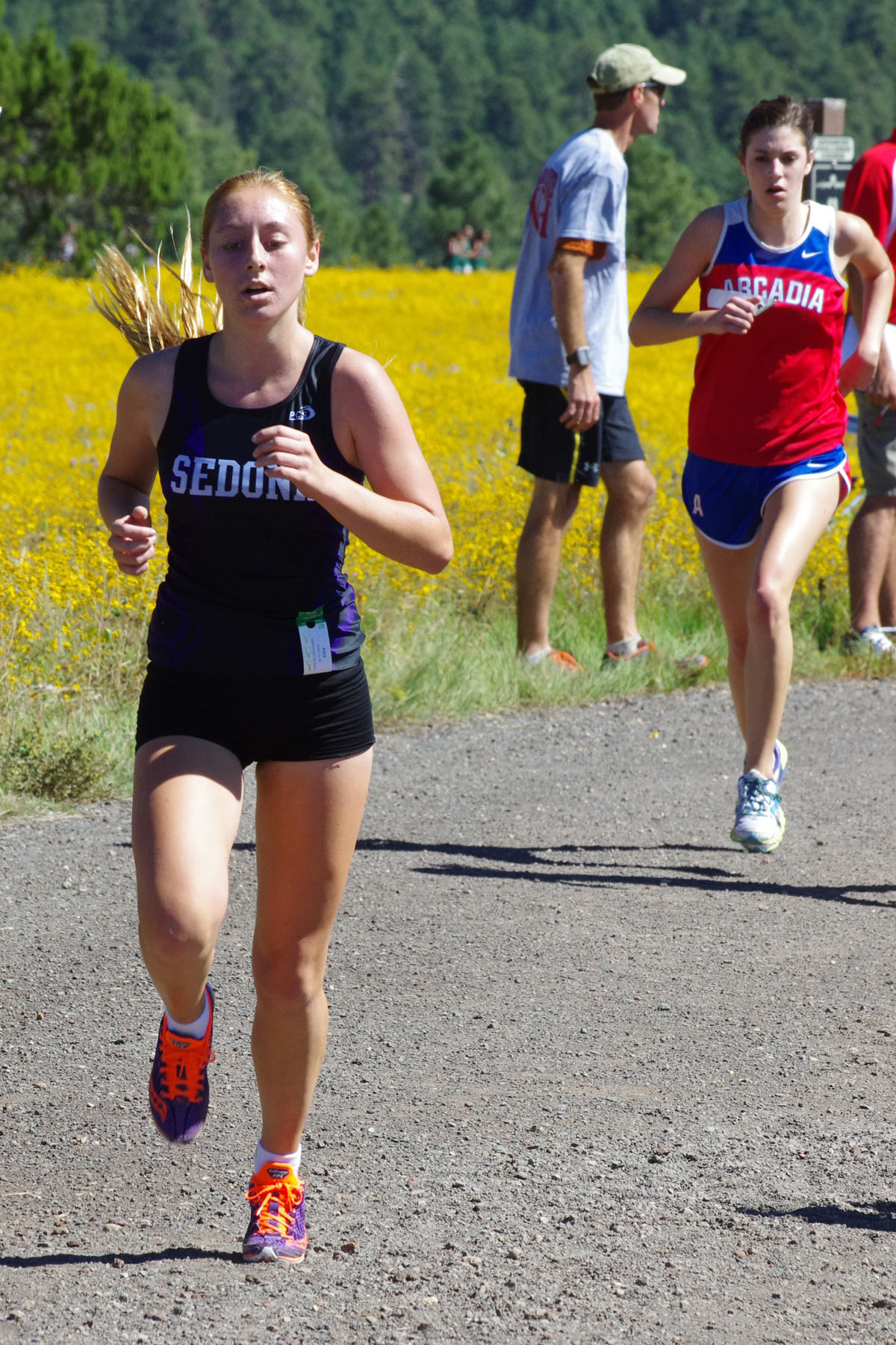 IMGP2955_C.jpg