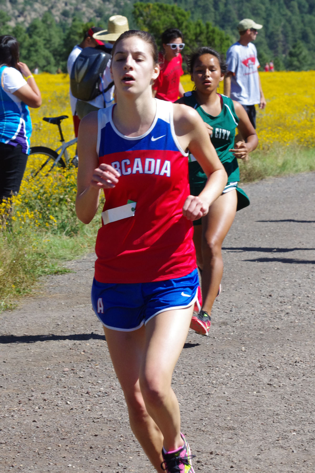 IMGP2958_C.jpg