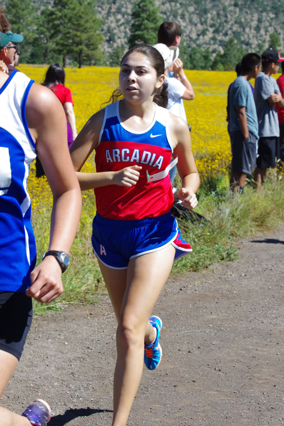 IMGP2967_C.jpg