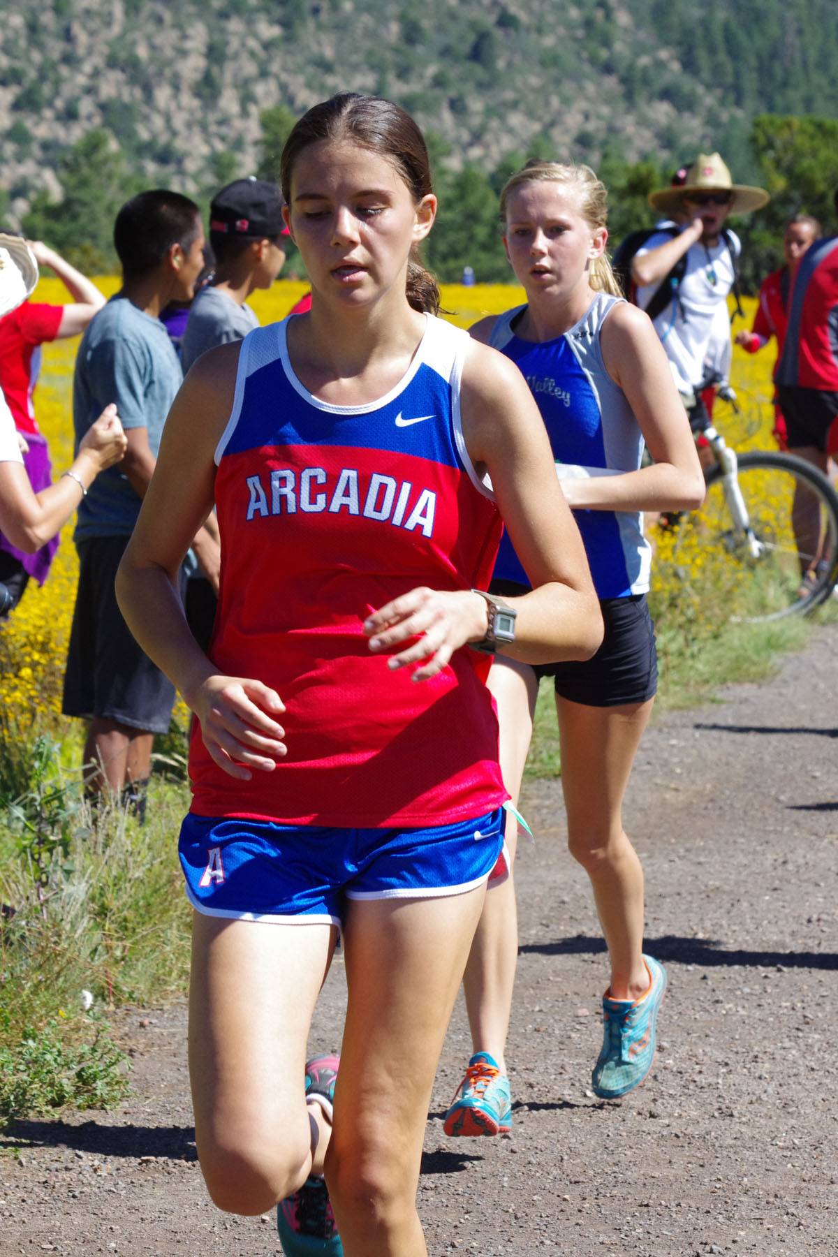 IMGP2970_C.jpg