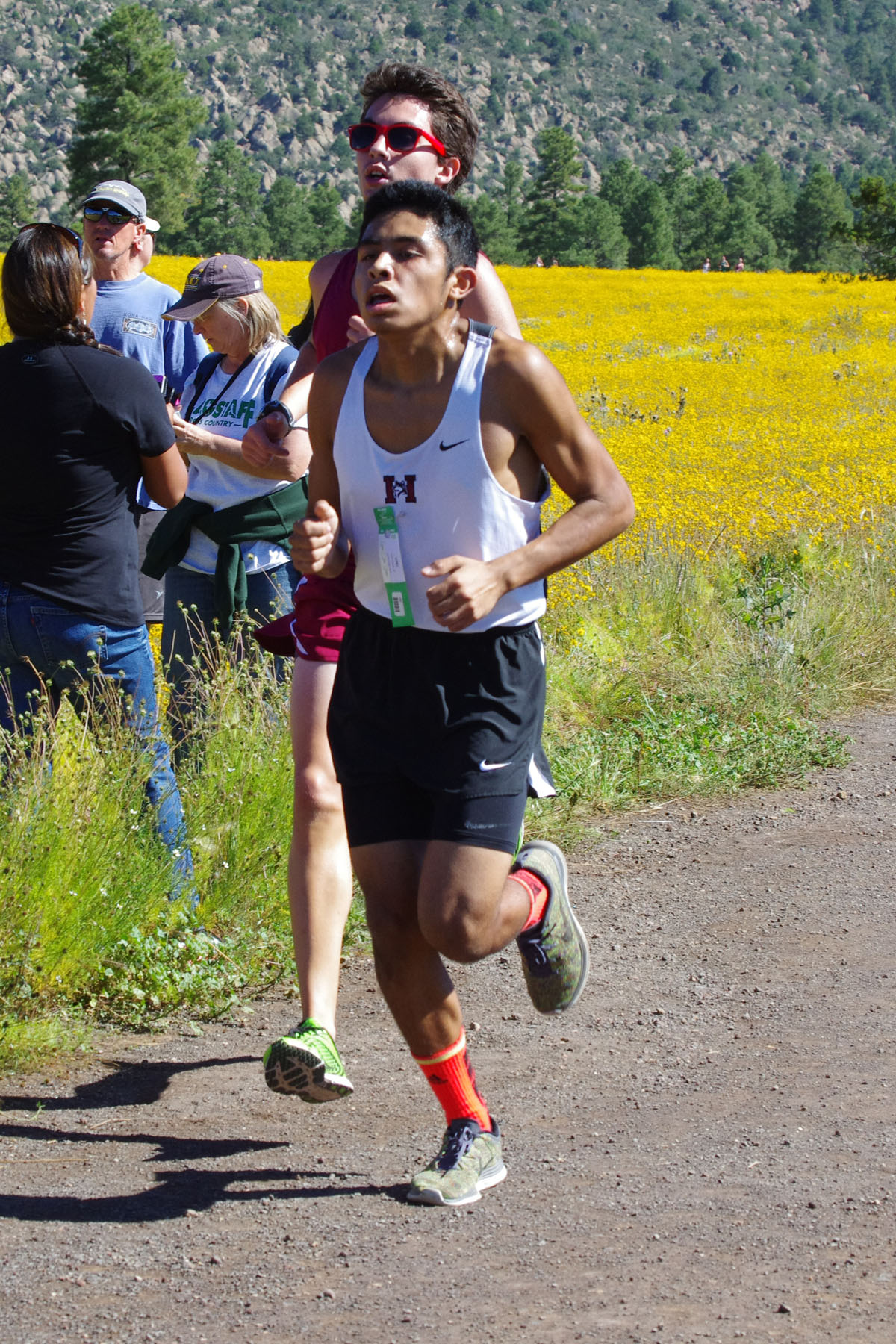 IMGP2869_C.jpg