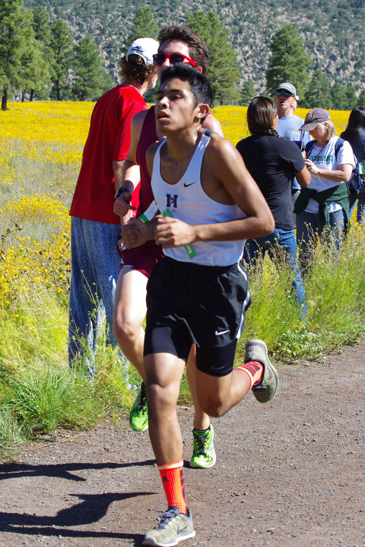 IMGP2870_C.jpg