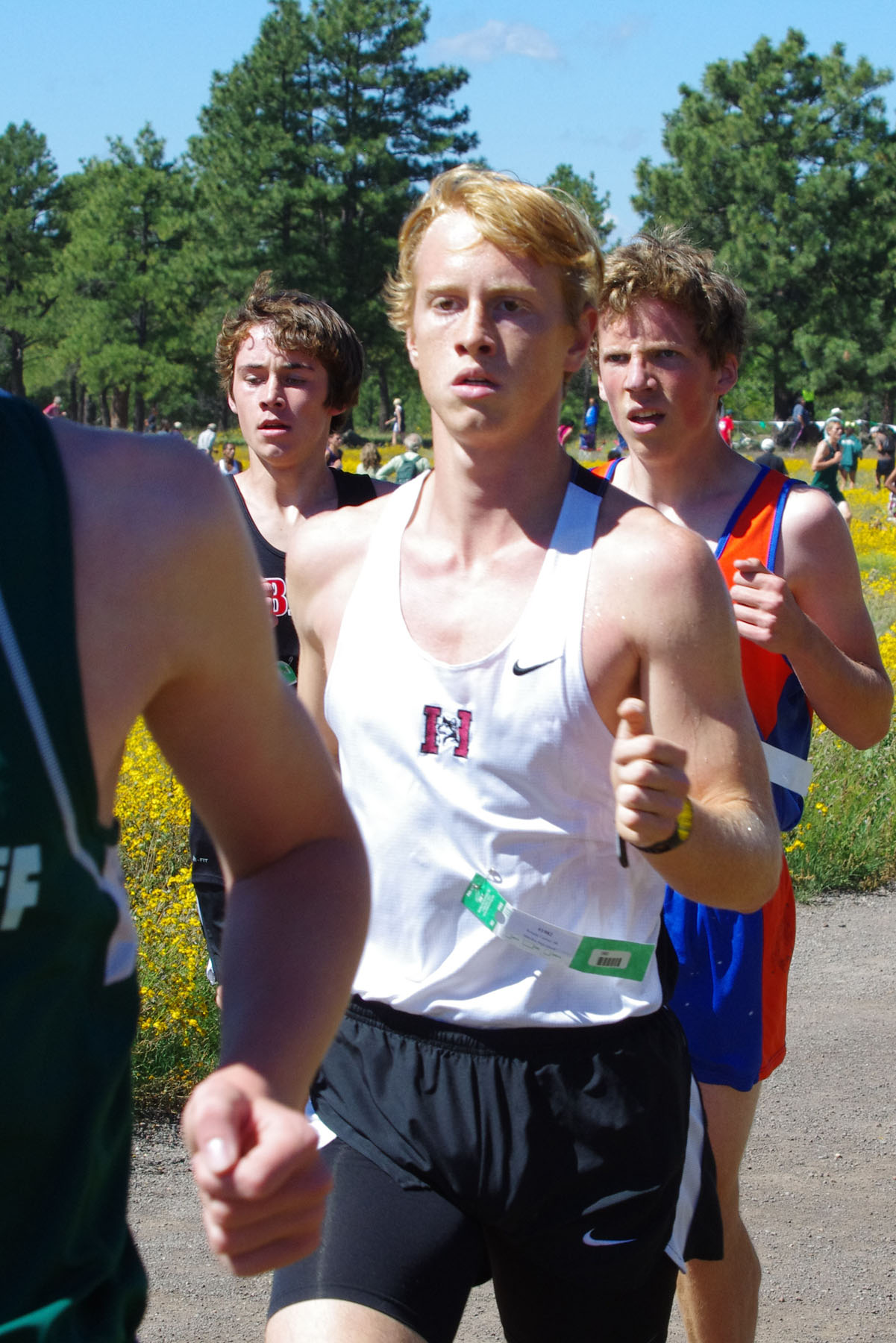 IMGP3013_C.jpg