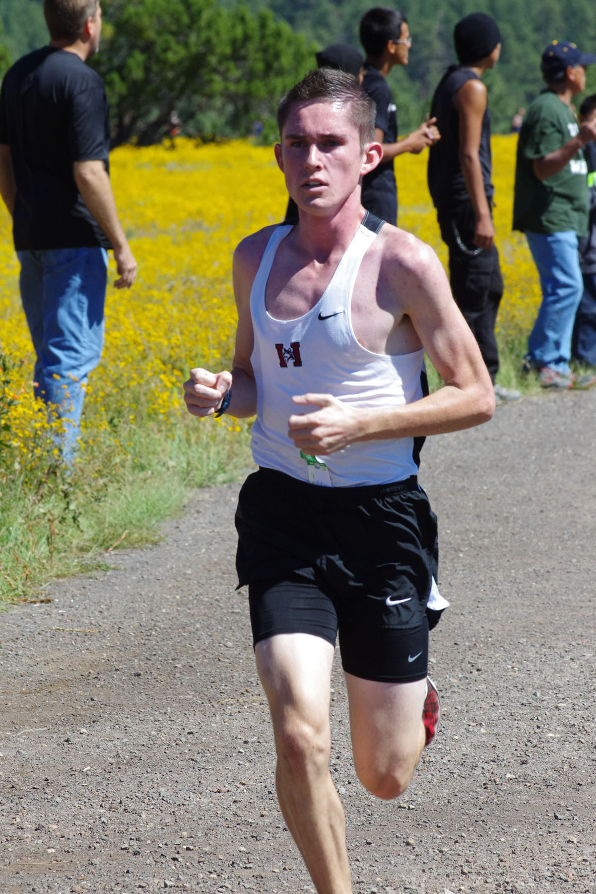 IMGP3039_C.jpg