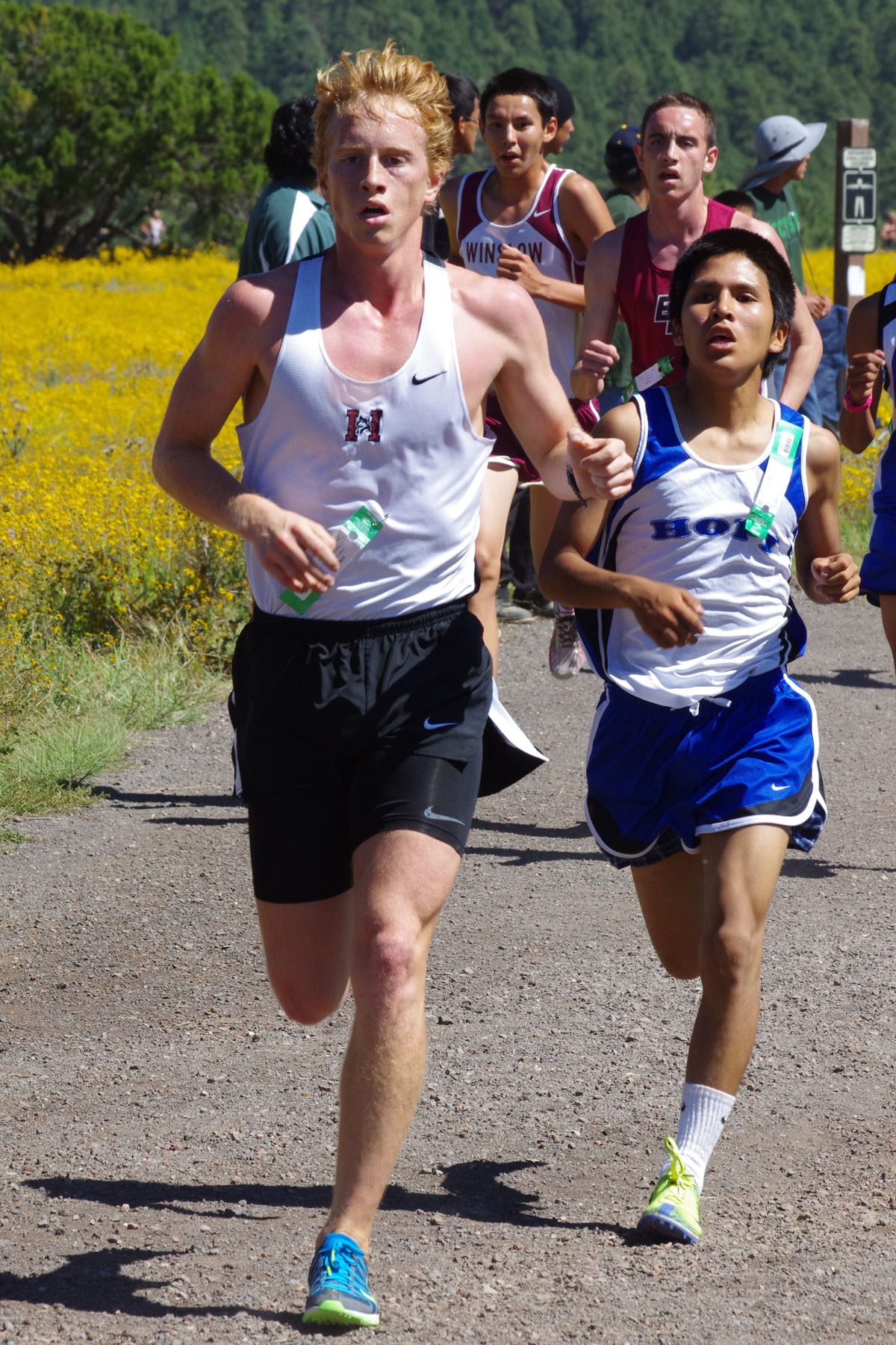 IMGP3047_C.jpg