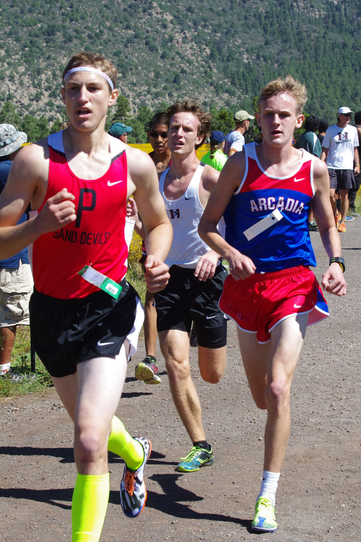 IMGP3052_C.jpg