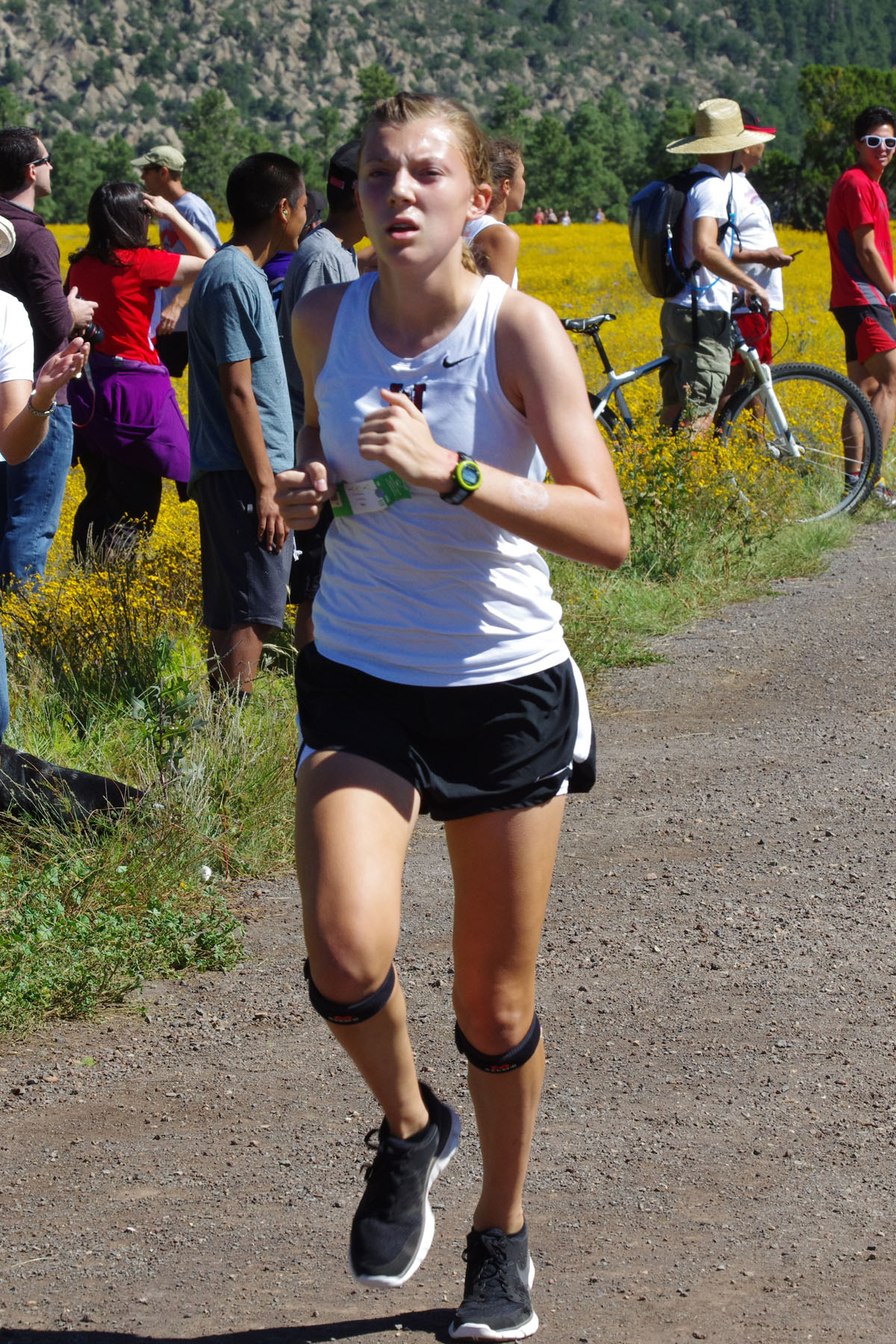 IMGP2974_C.jpg