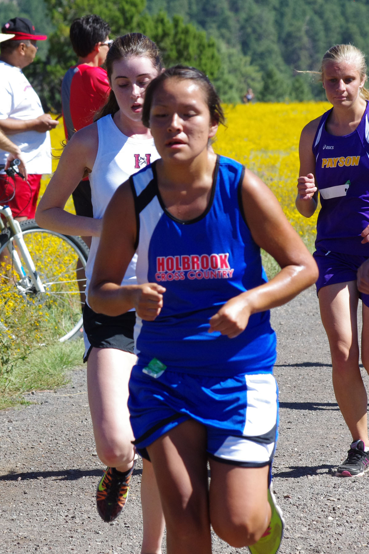 IMGP2977_C.jpg