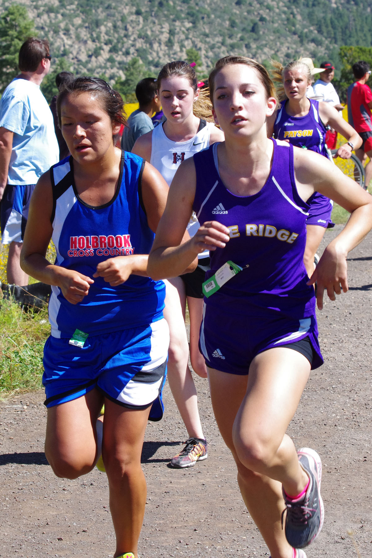 IMGP2978_C.jpg