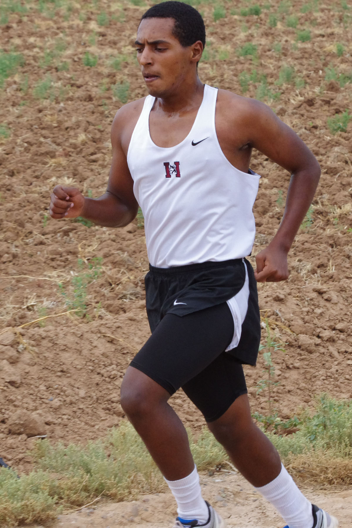 IMGP2166_C.jpg