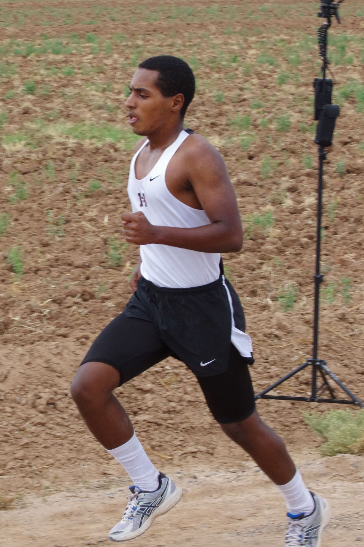 IMGP2167_C.jpg