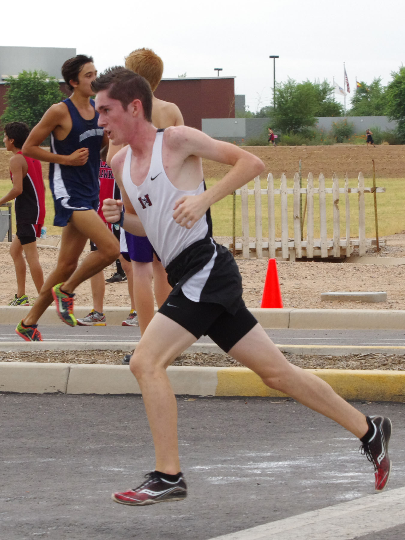 IMGP2195_C.jpg