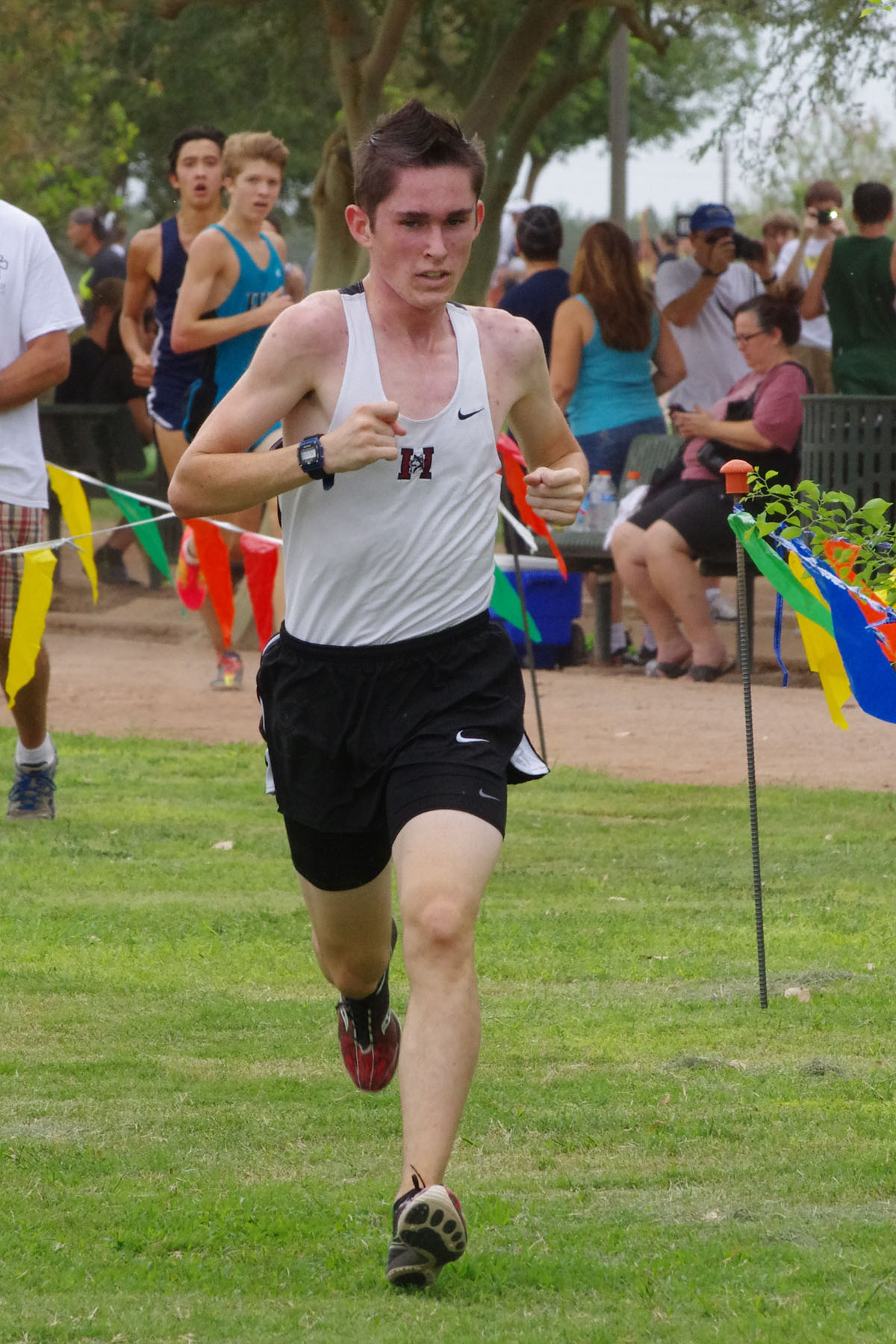 IMGP2203_C.jpg