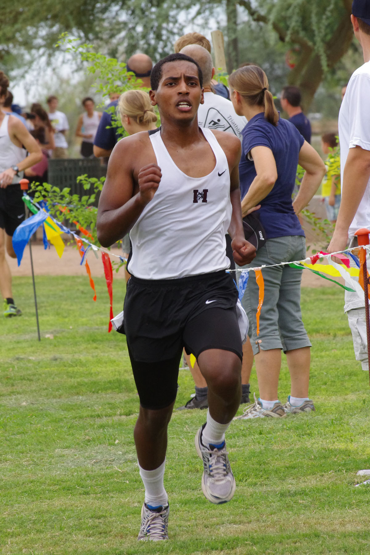 IMGP2216_C.jpg