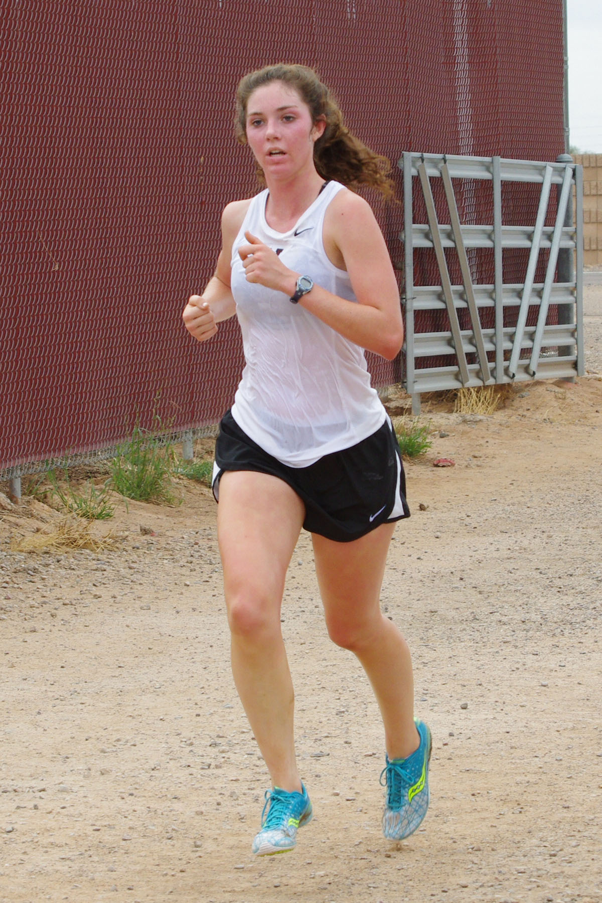 IMGP2339_C.jpg