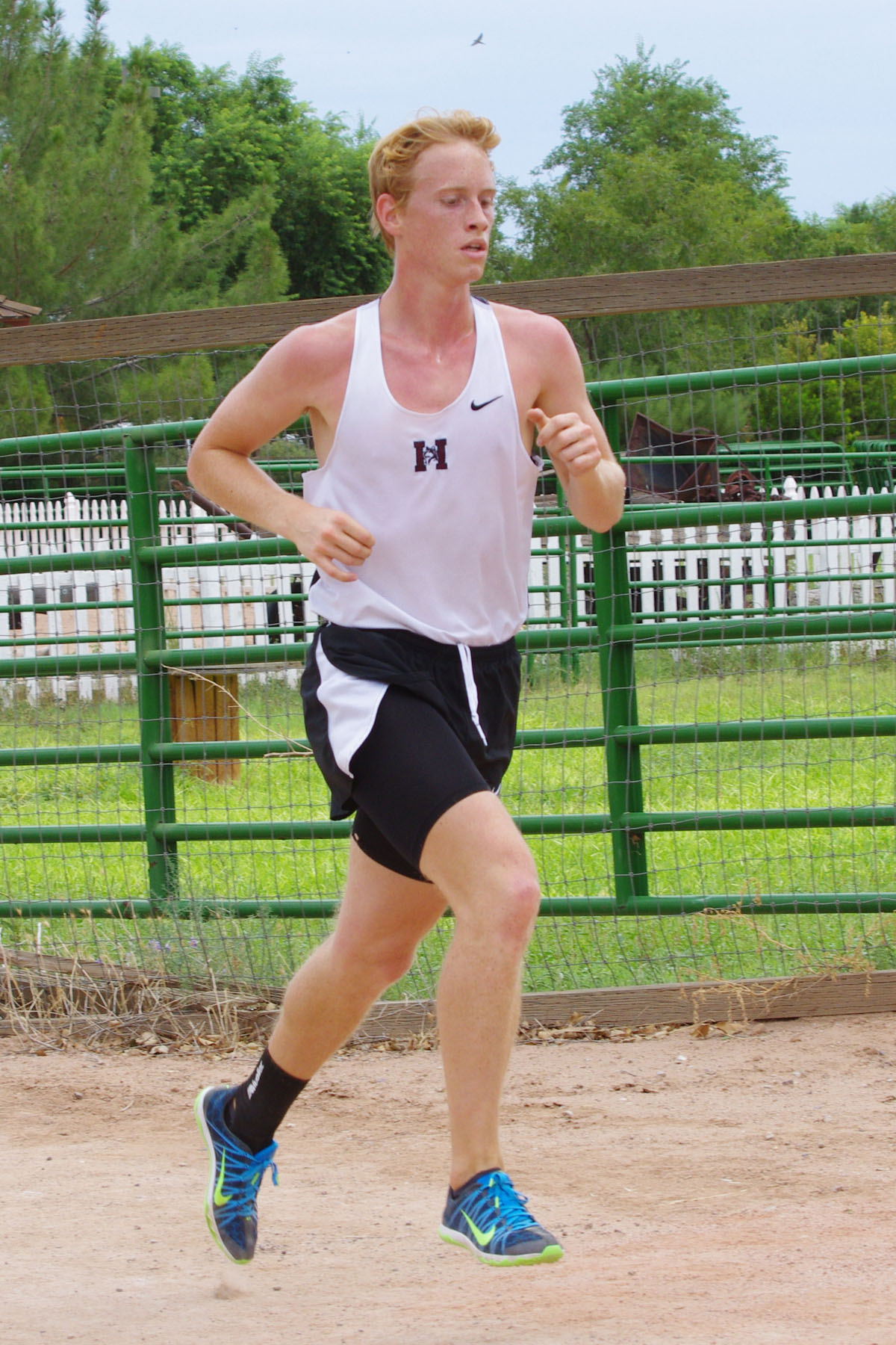 IMGP2346_C.jpg