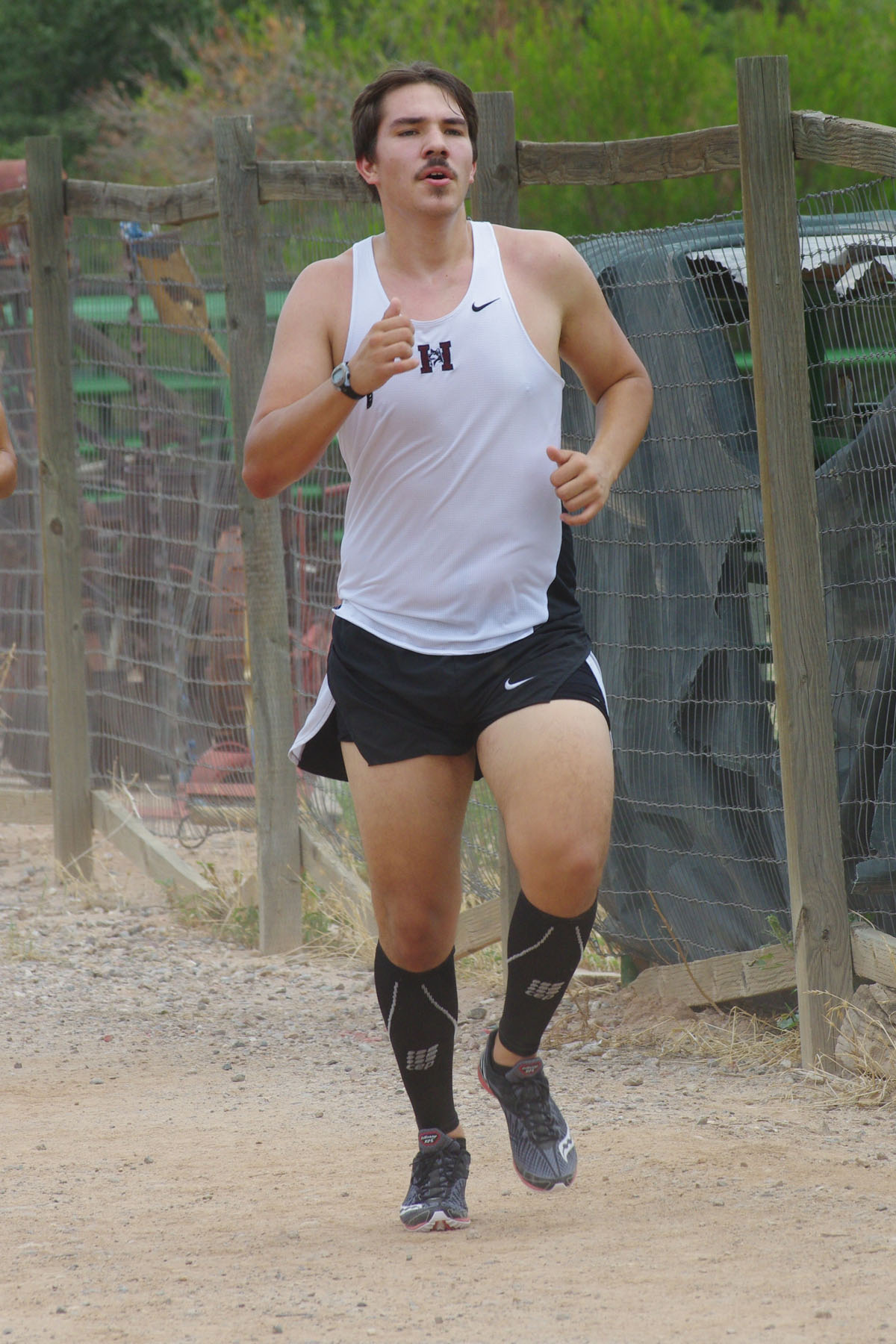 IMGP2356_C.jpg
