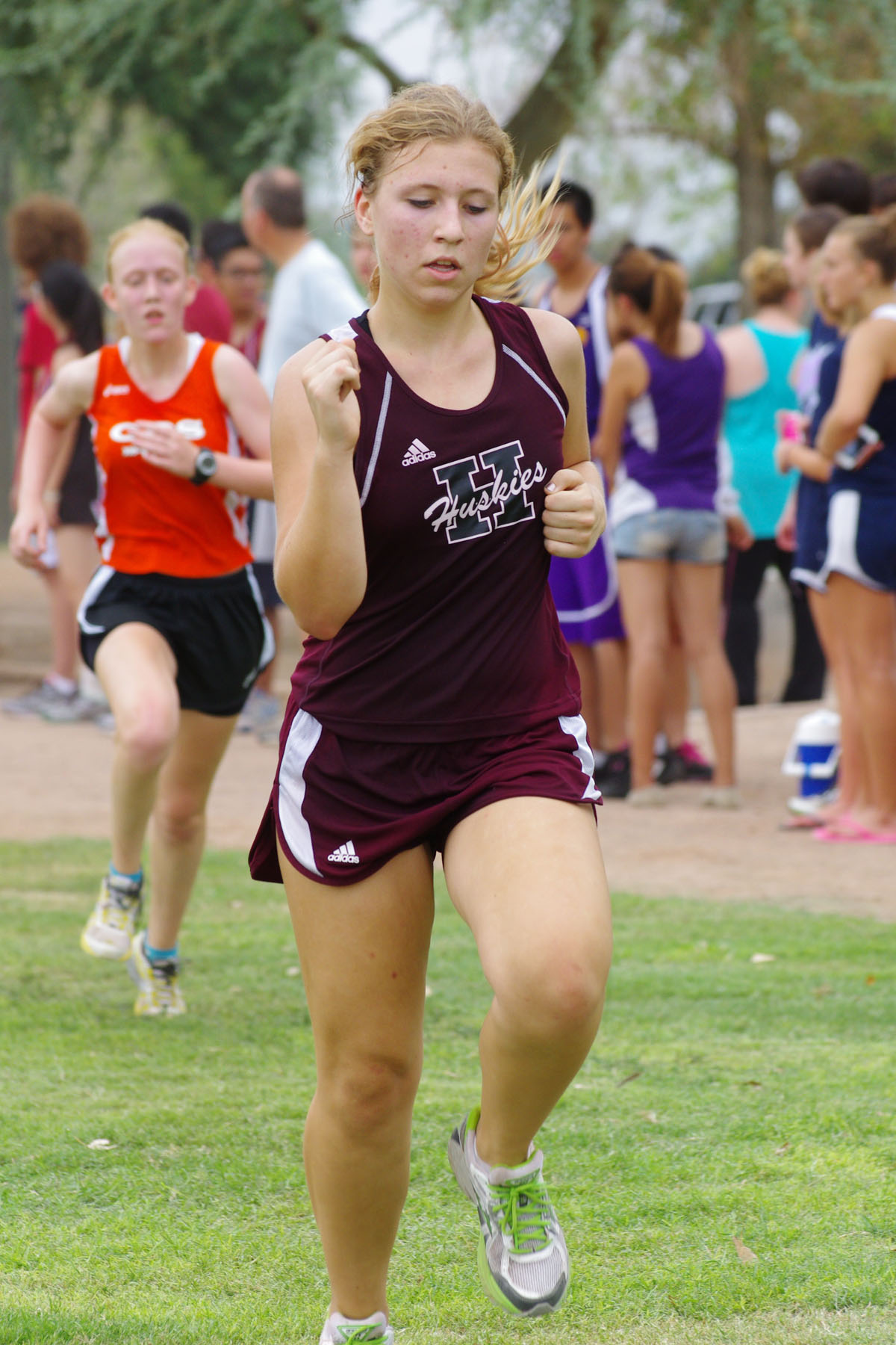 IMGP2390_C.jpg