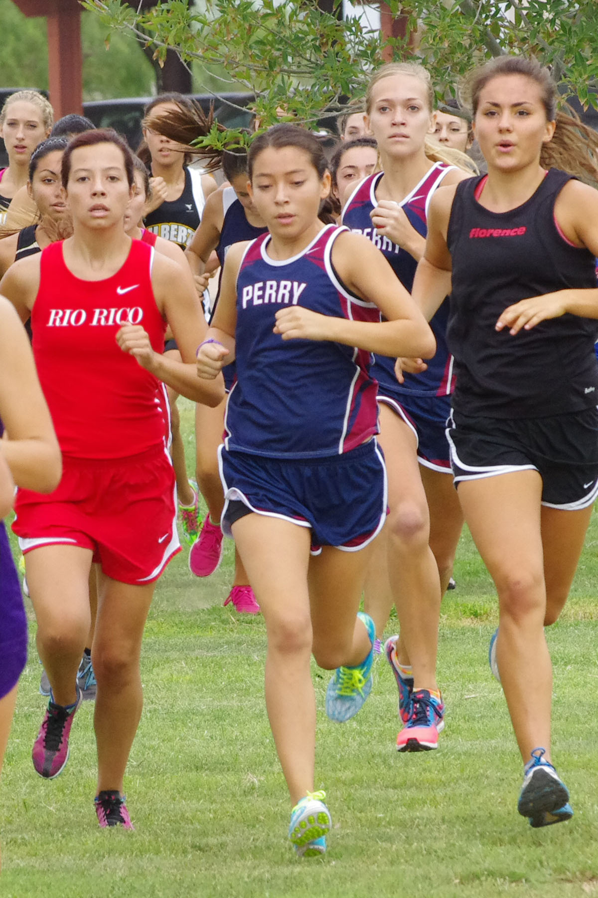 IMGP2131_C.jpg