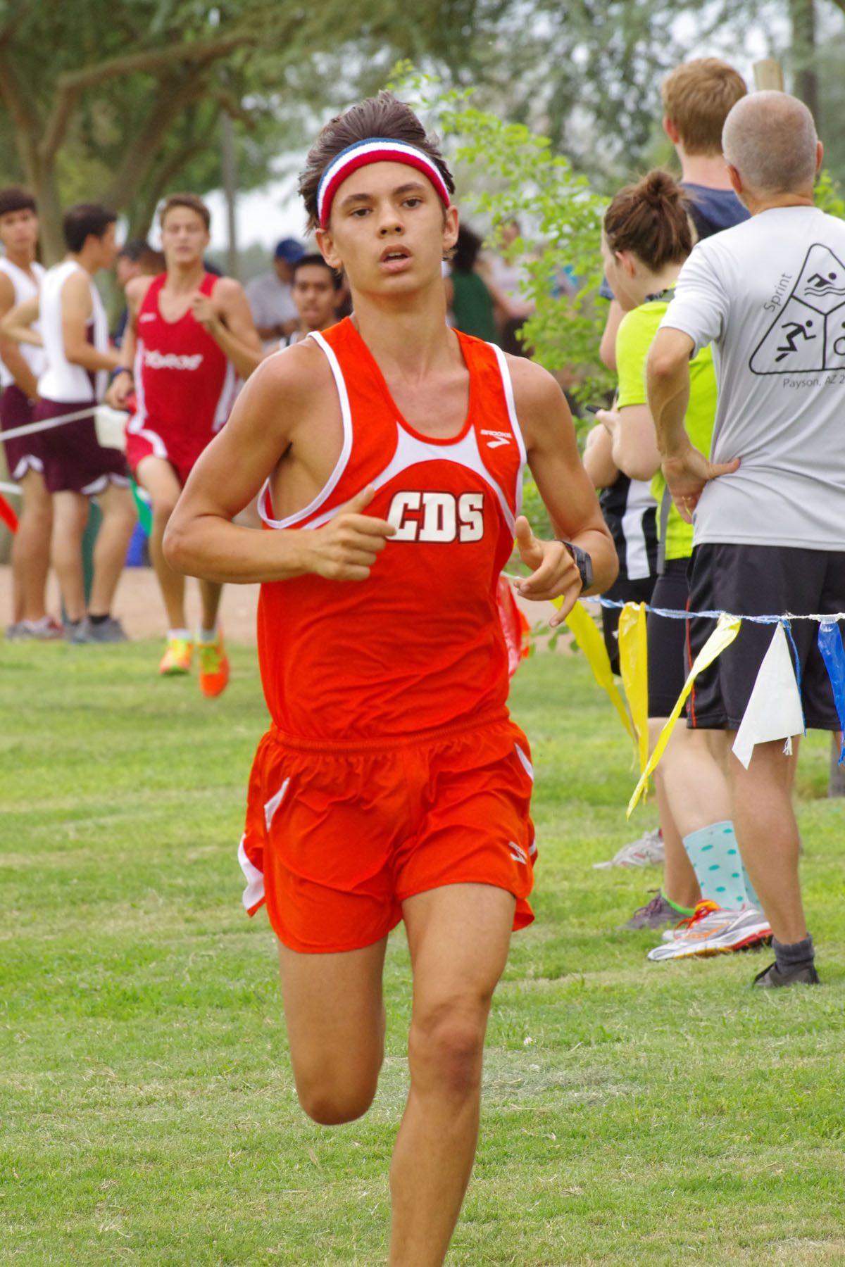 IMGP2206_C.jpg