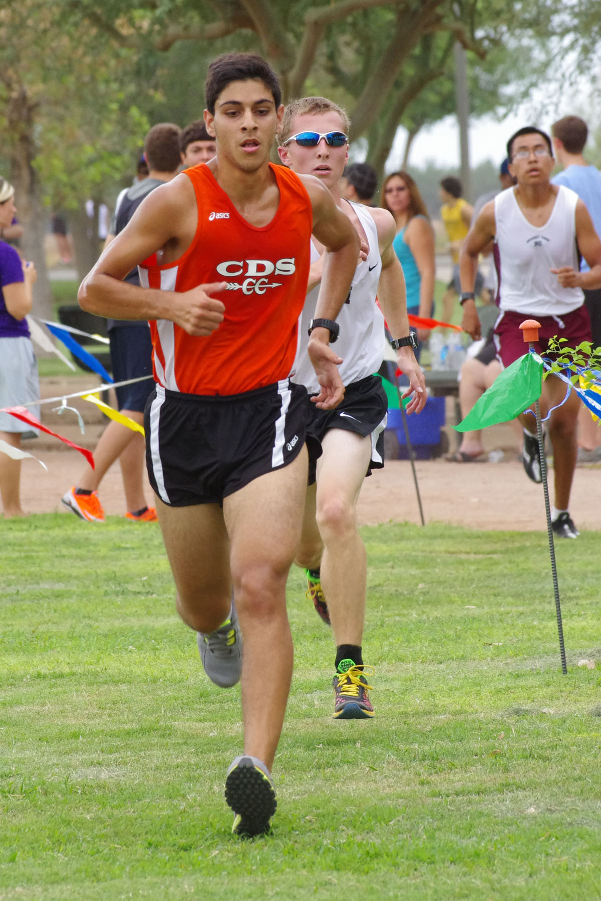 IMGP2212_C.jpg