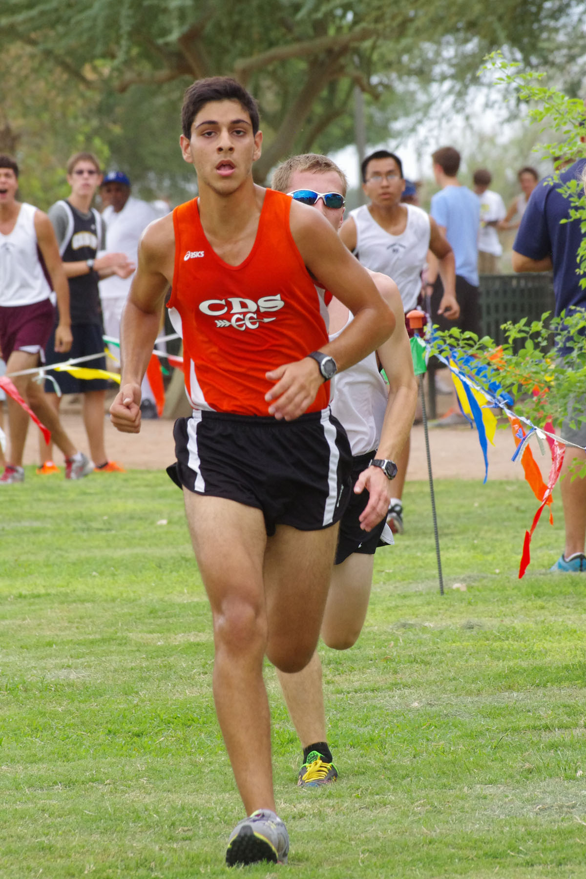 IMGP2213_C.jpg