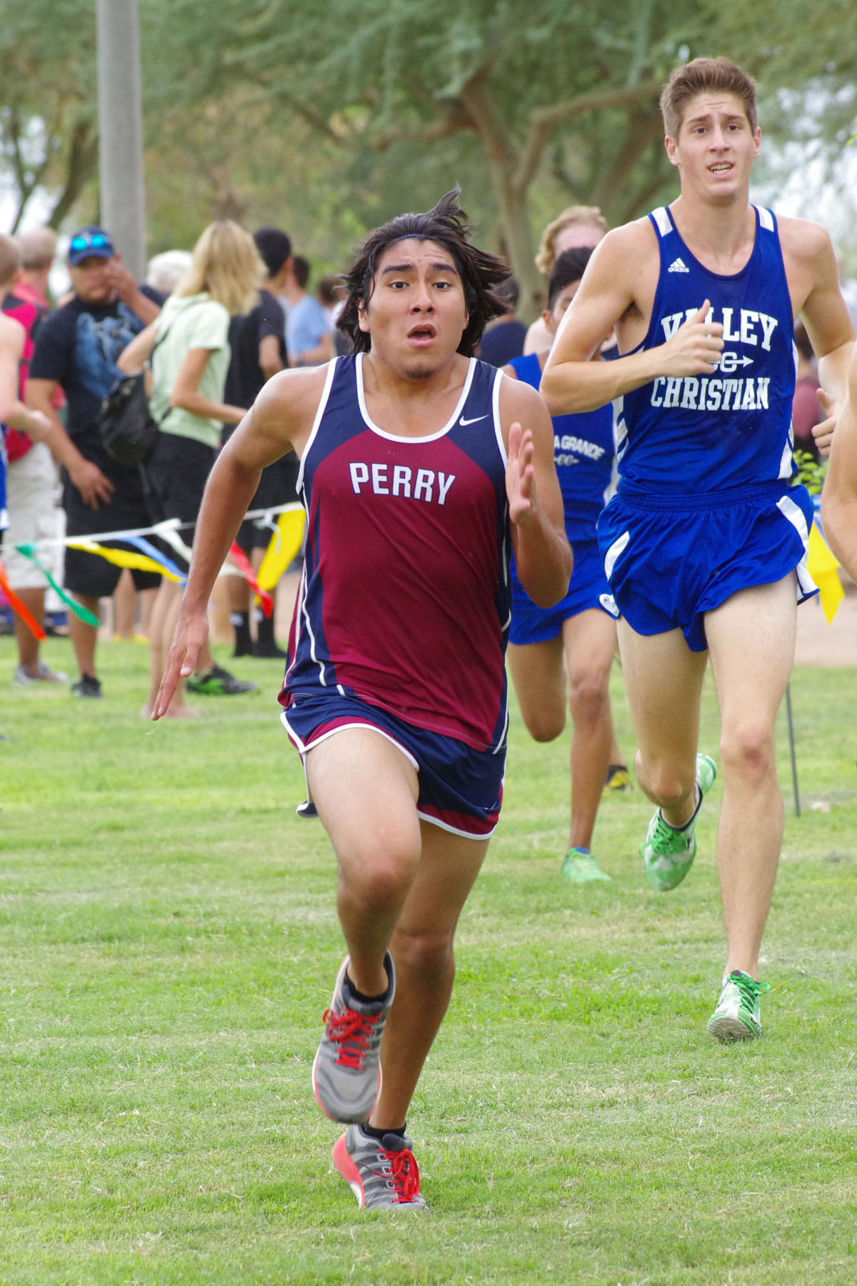 IMGP2222_C.jpg