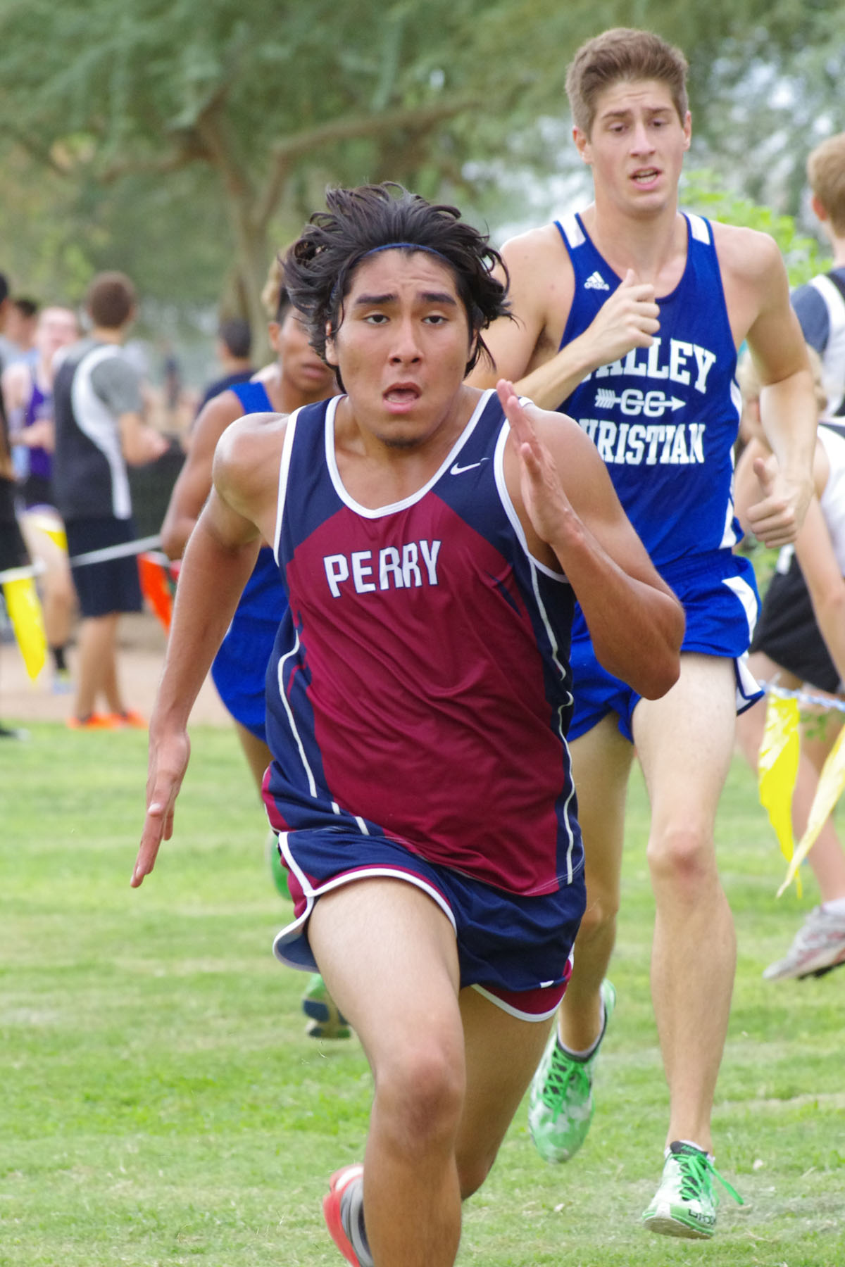 IMGP2223_C.jpg