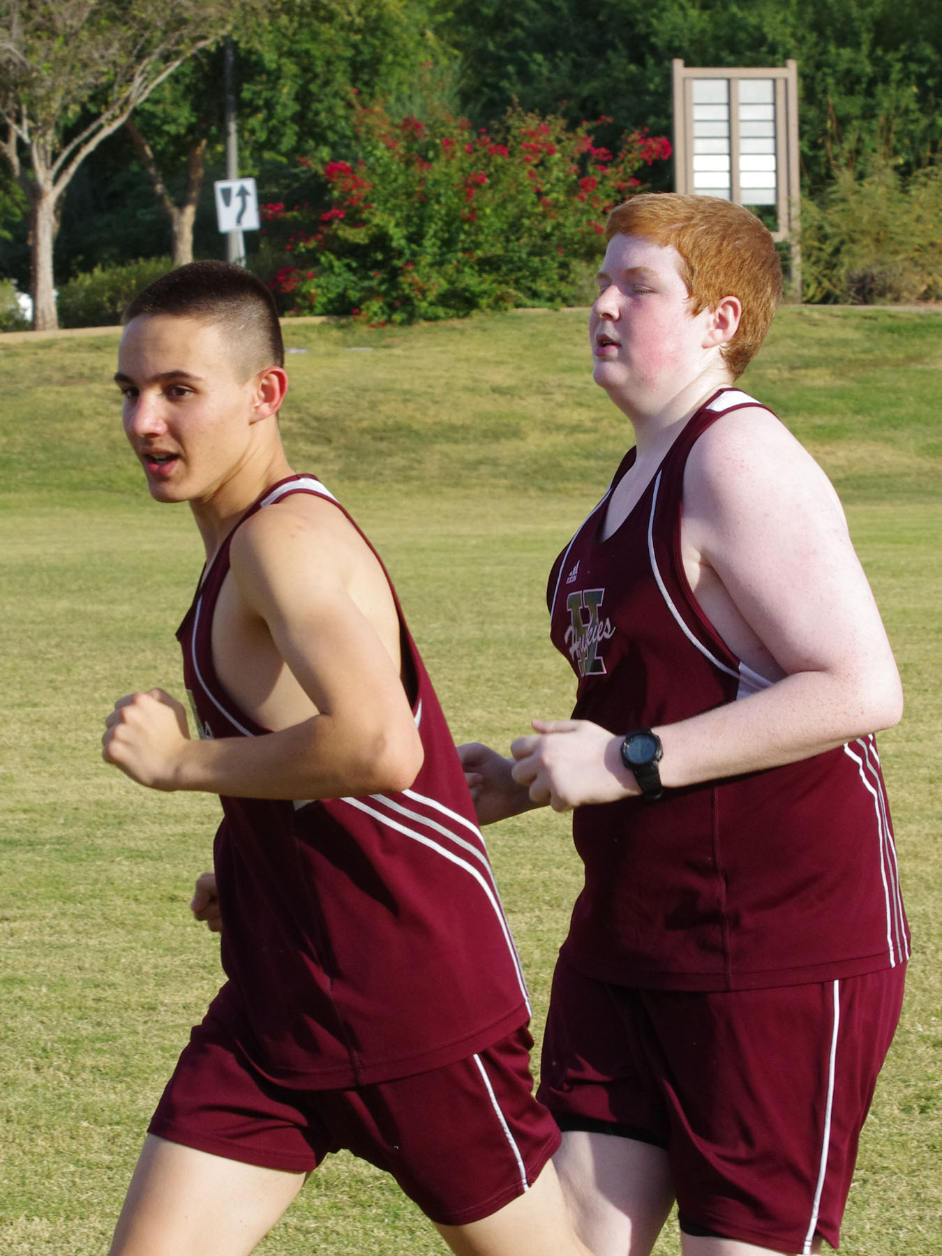 IMGP4350_C.jpg