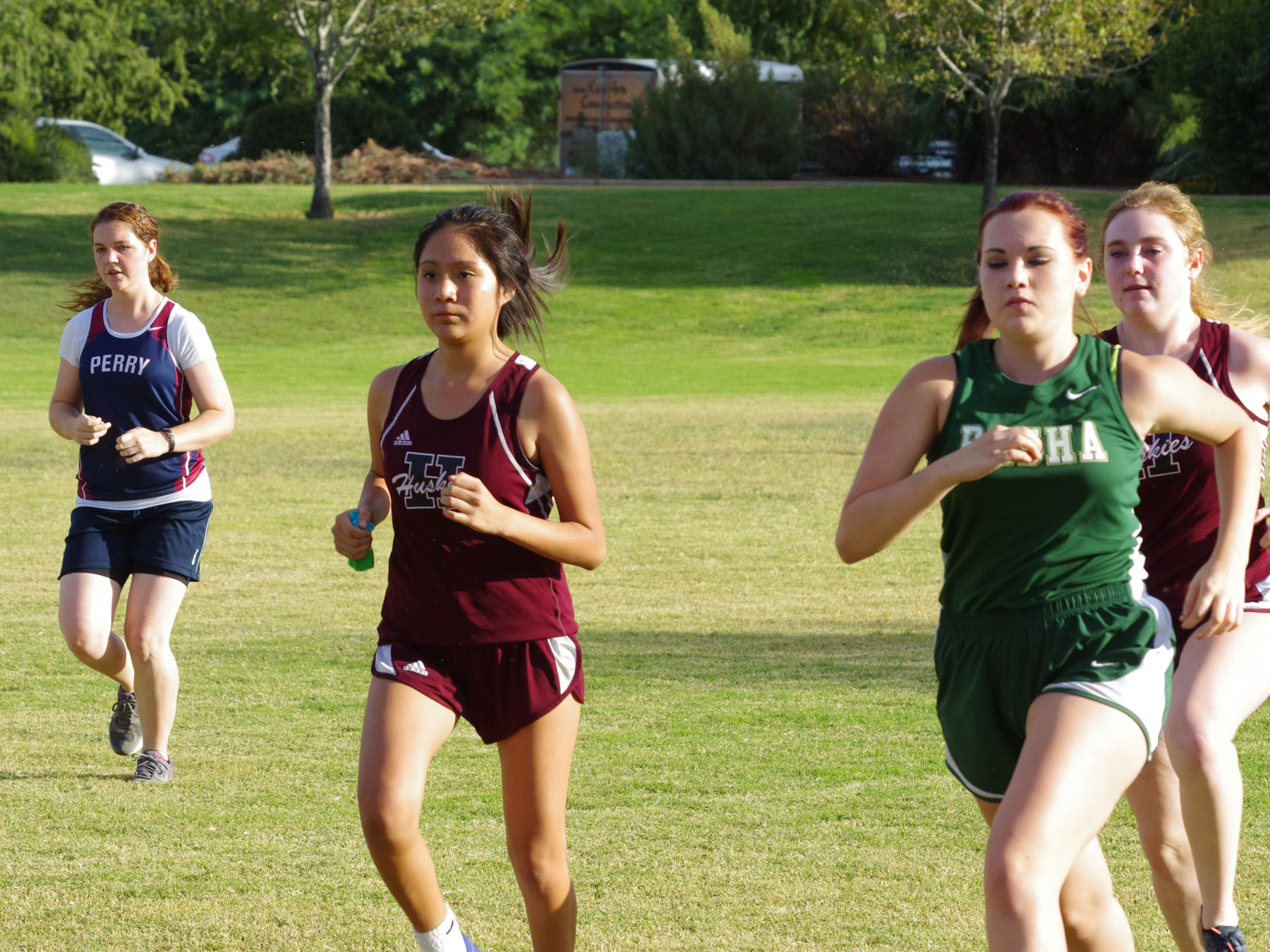 IMGP4378_C.jpg