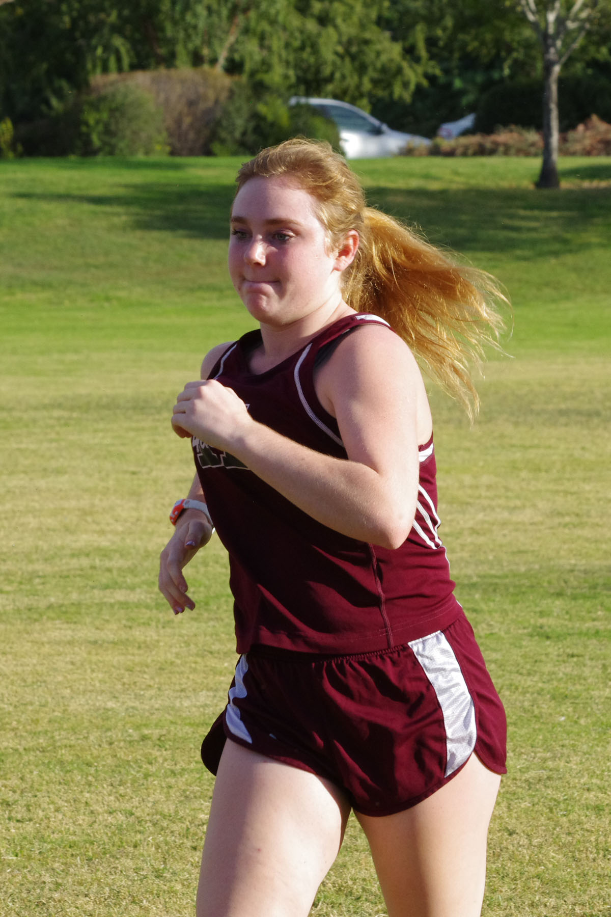 IMGP4379_C.jpg