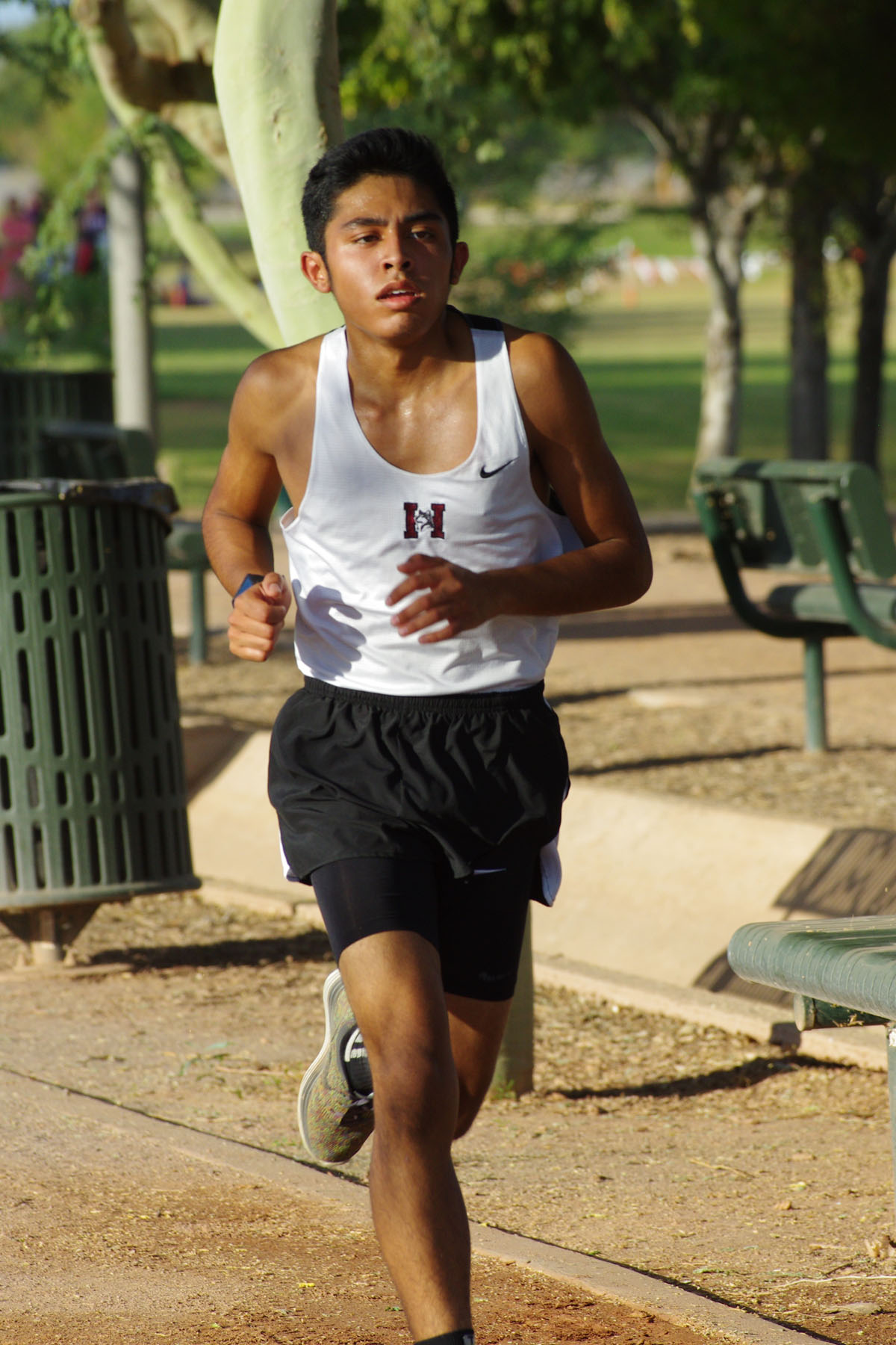 IMGP4418_C.jpg