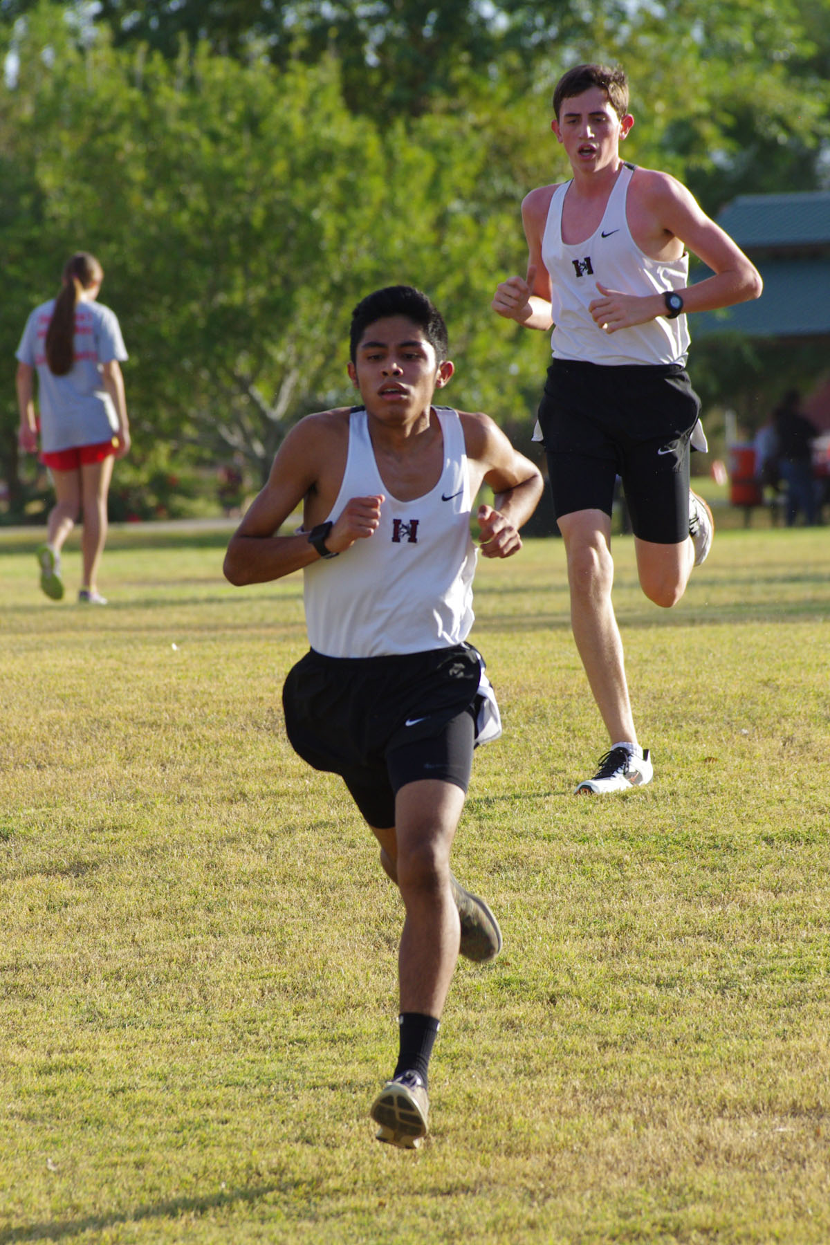 IMGP4431_C.jpg