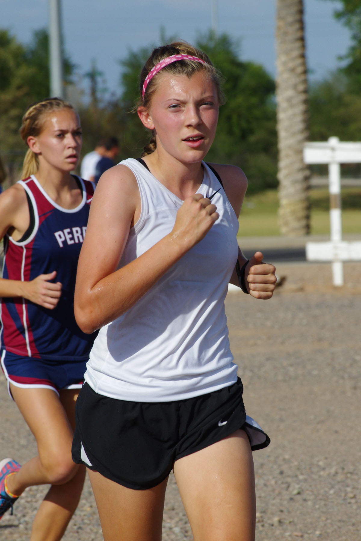 IMGP4055_C.jpg