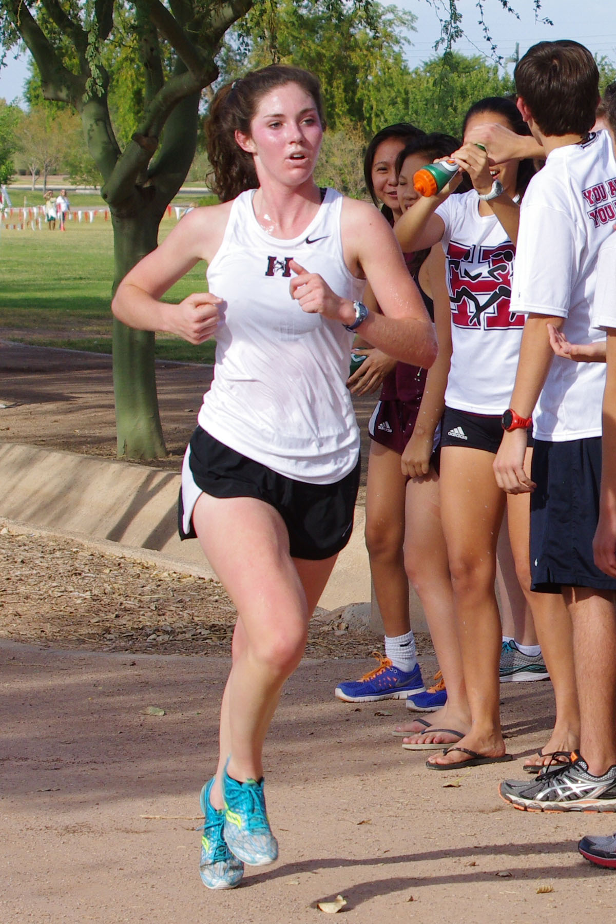 IMGP4092_C.jpg