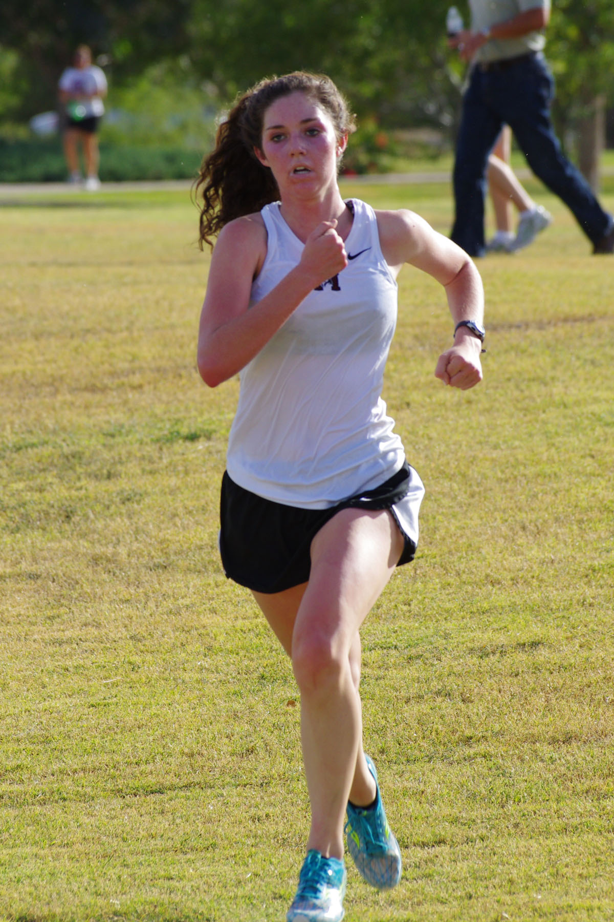 IMGP4115_C.jpg