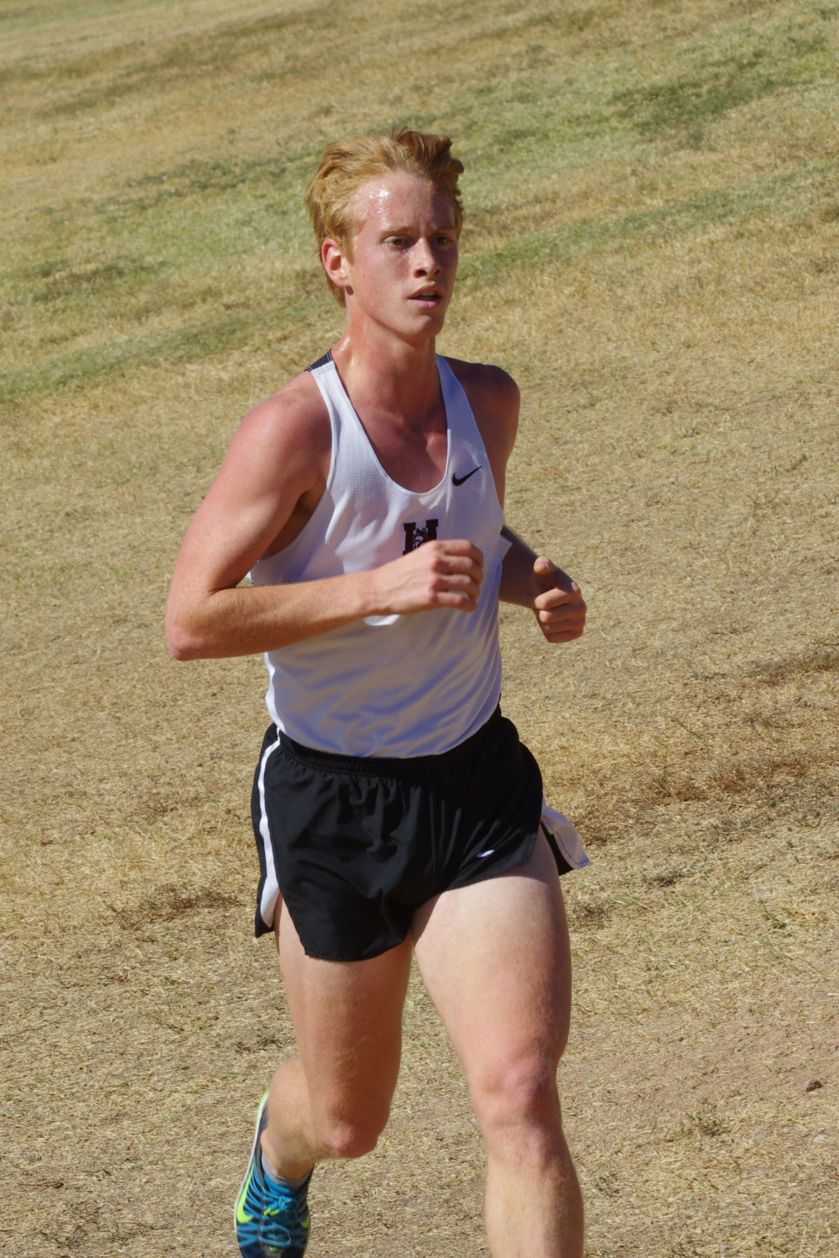 IMGP5261_C.jpg