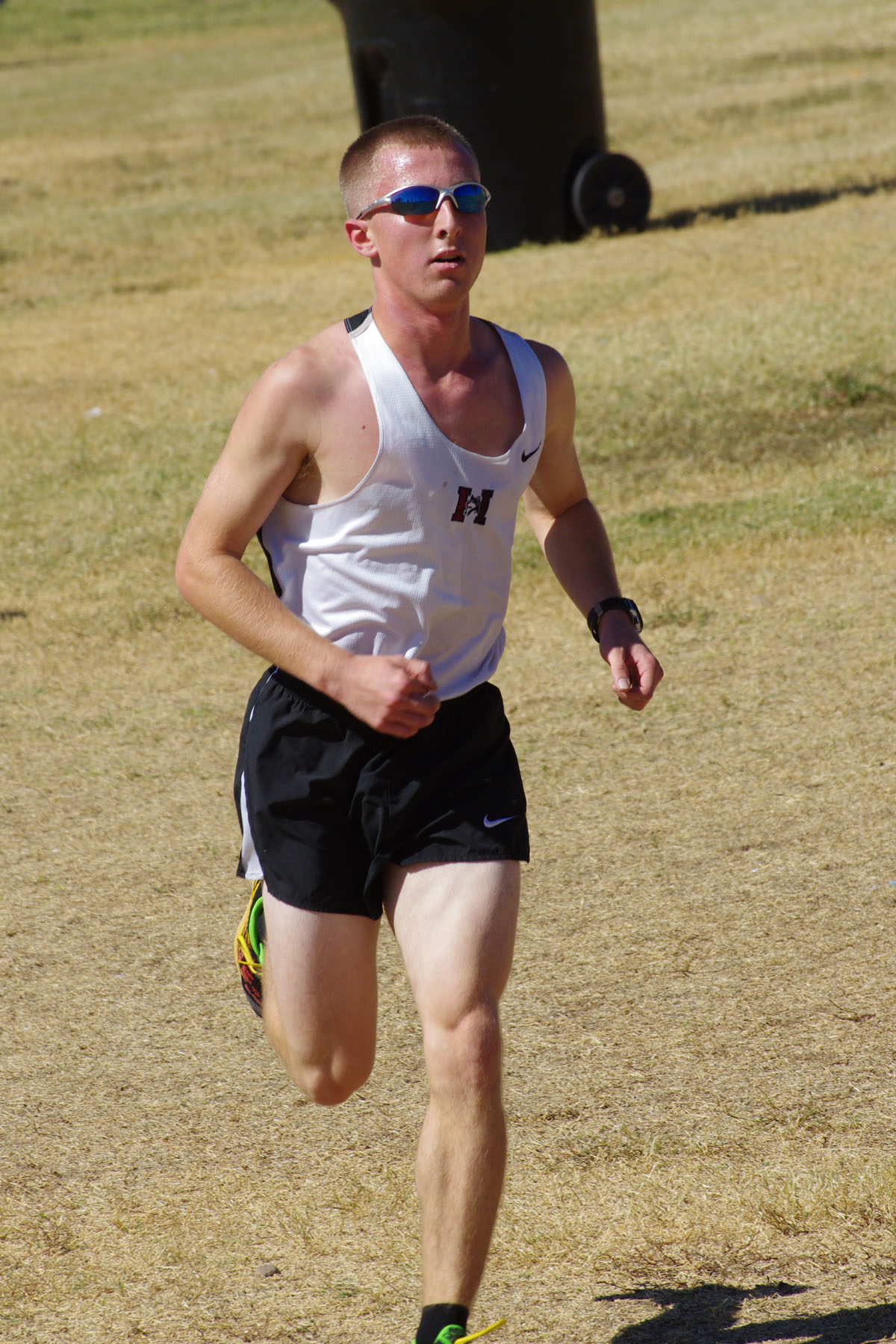 IMGP5264_C.jpg