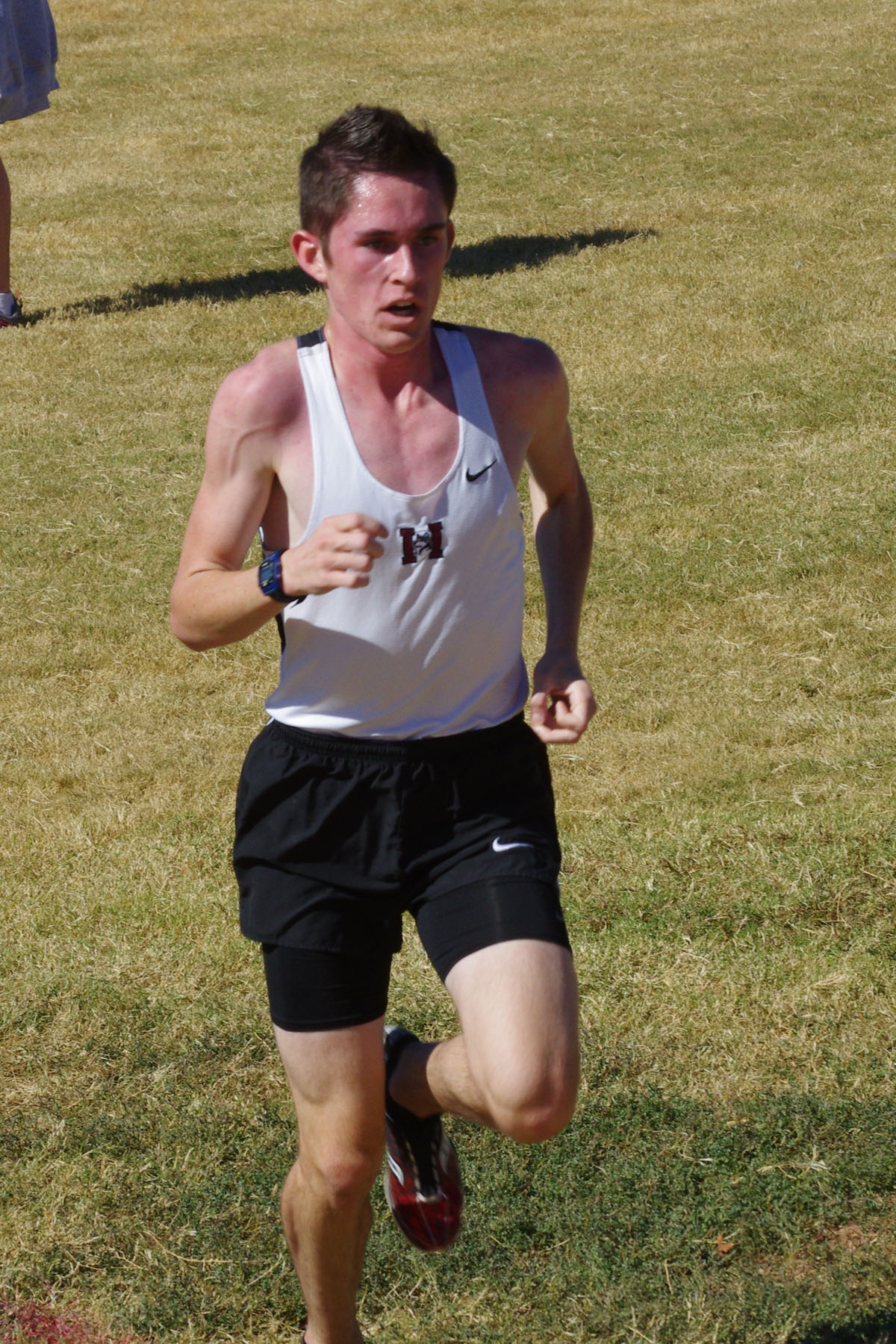 IMGP5284_C.jpg
