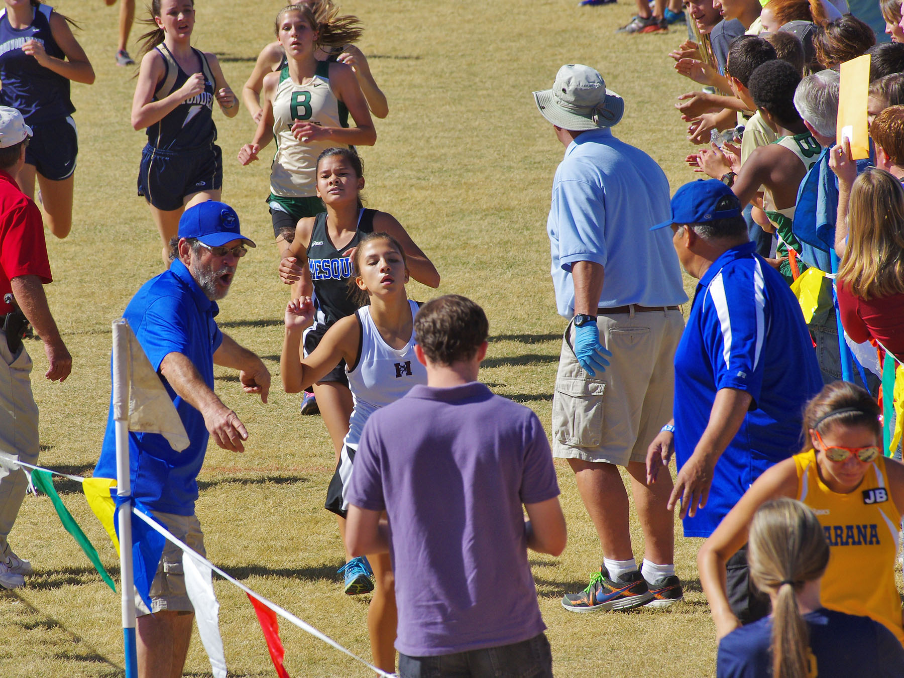 IMGP5435_CE.jpg
