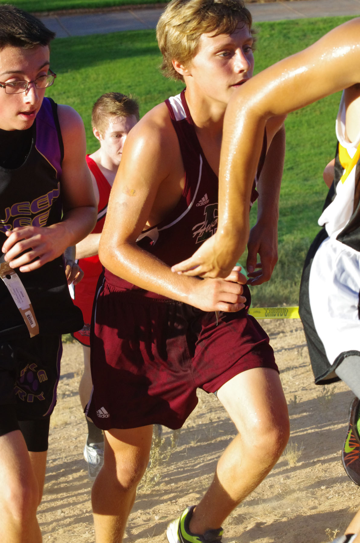 IMGP1409.jpg