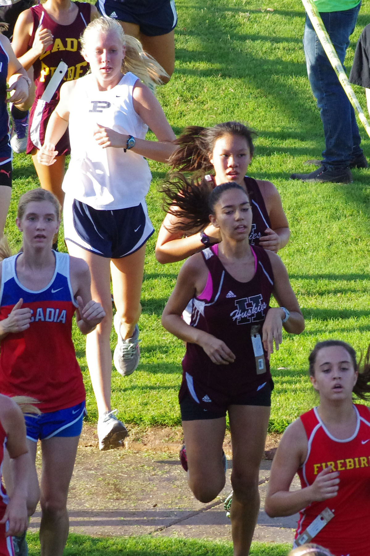 IMGP1421_C.jpg