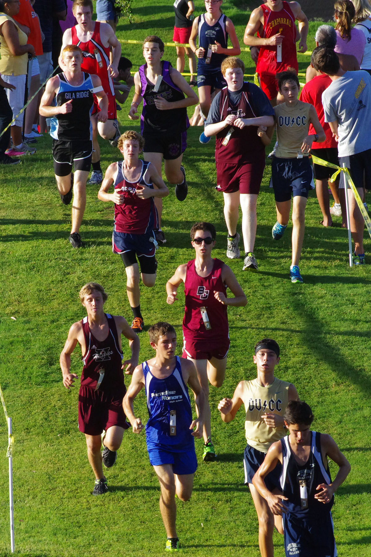 IMGP1449_C.jpg