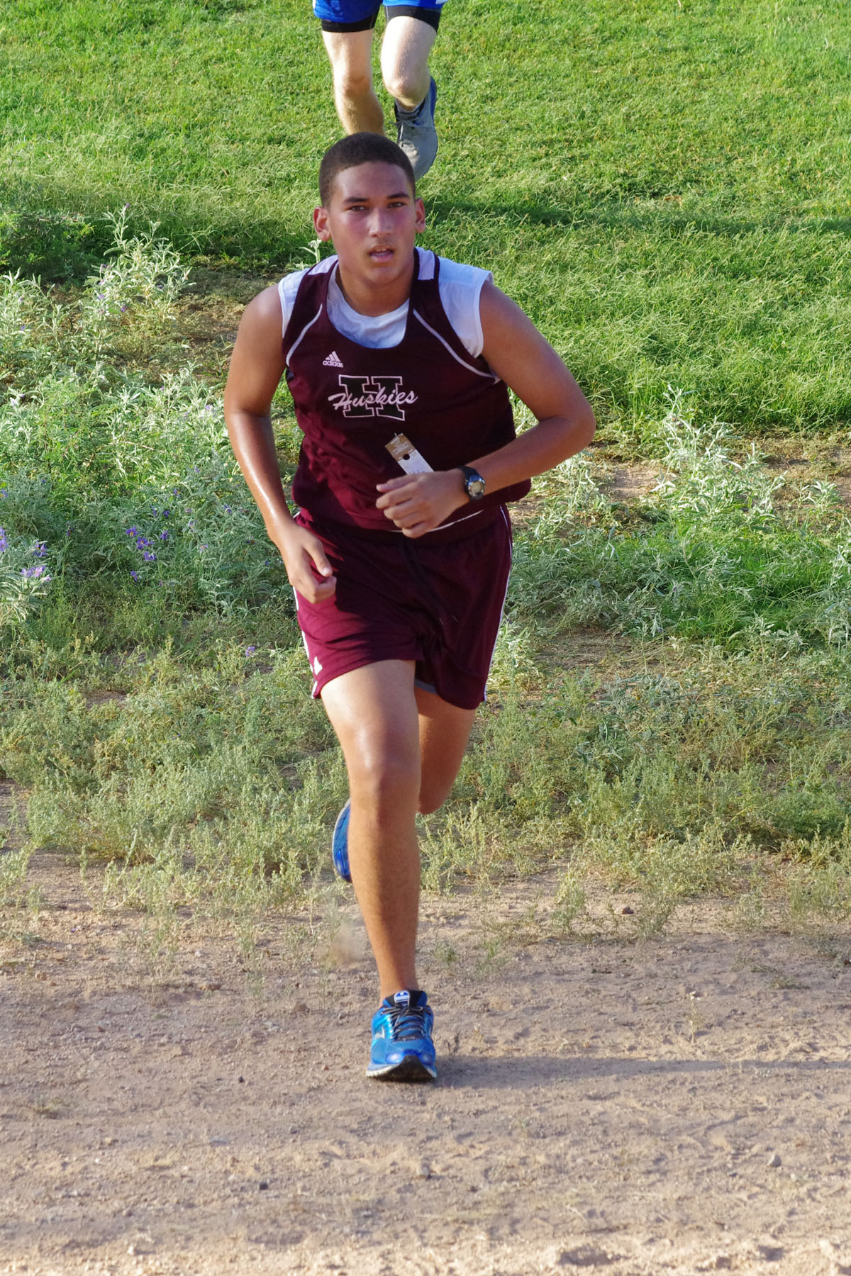 IMGP1480_C.jpg