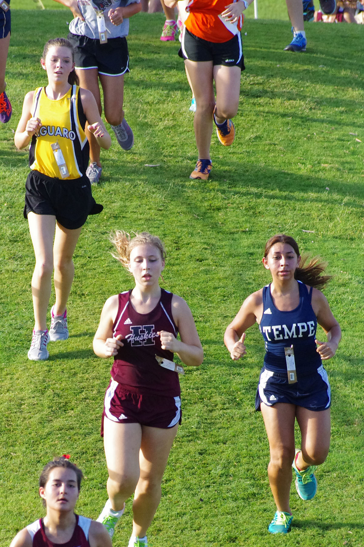 IMGP1486_C.jpg